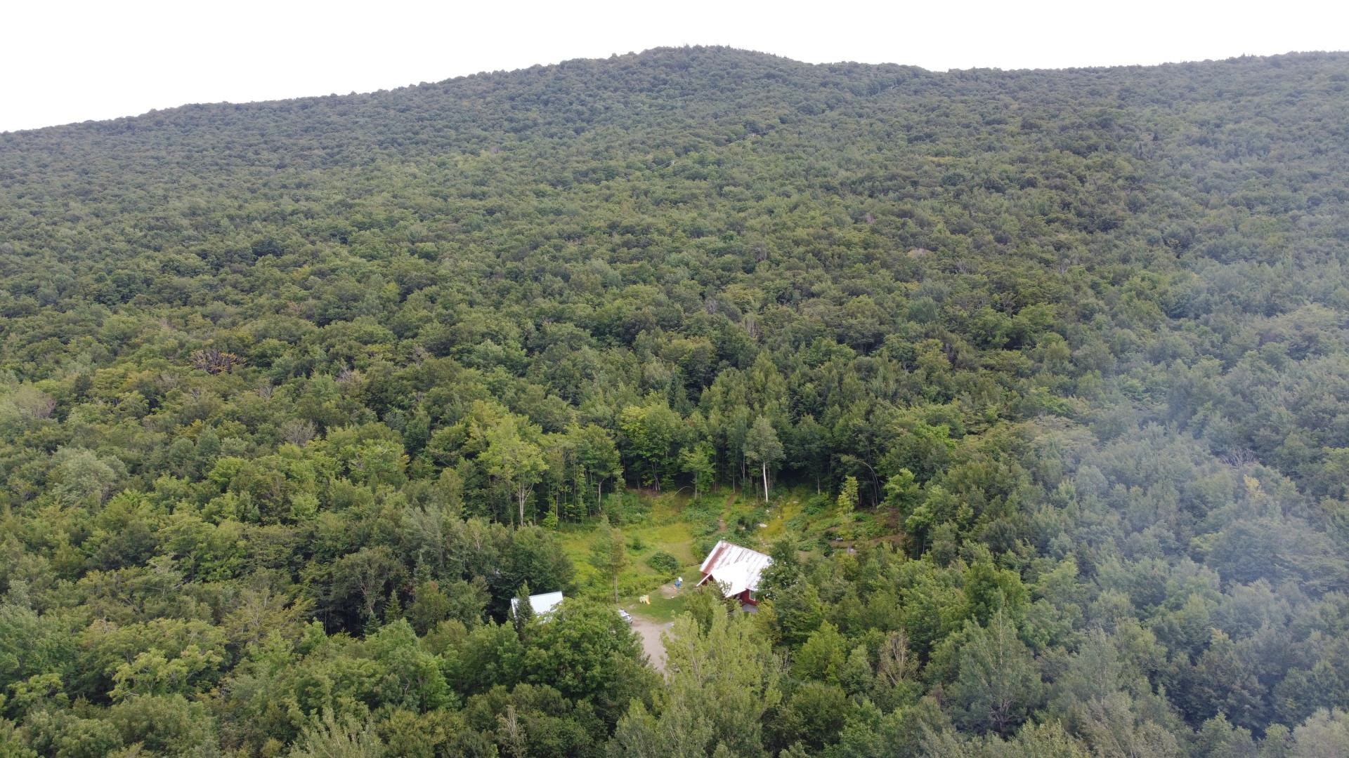 1765 Stevens Mill Road Property Photo 12