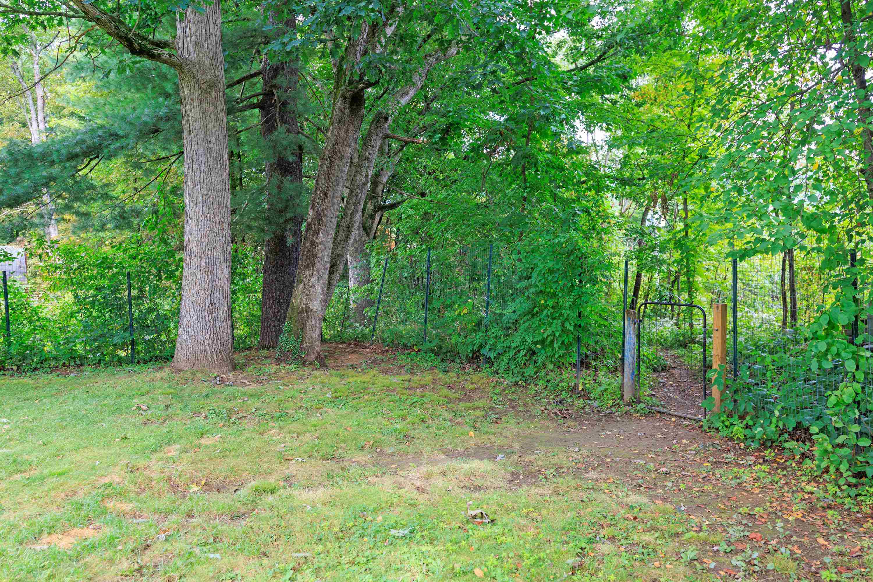 145 Belmont Avenue Property Photo 16