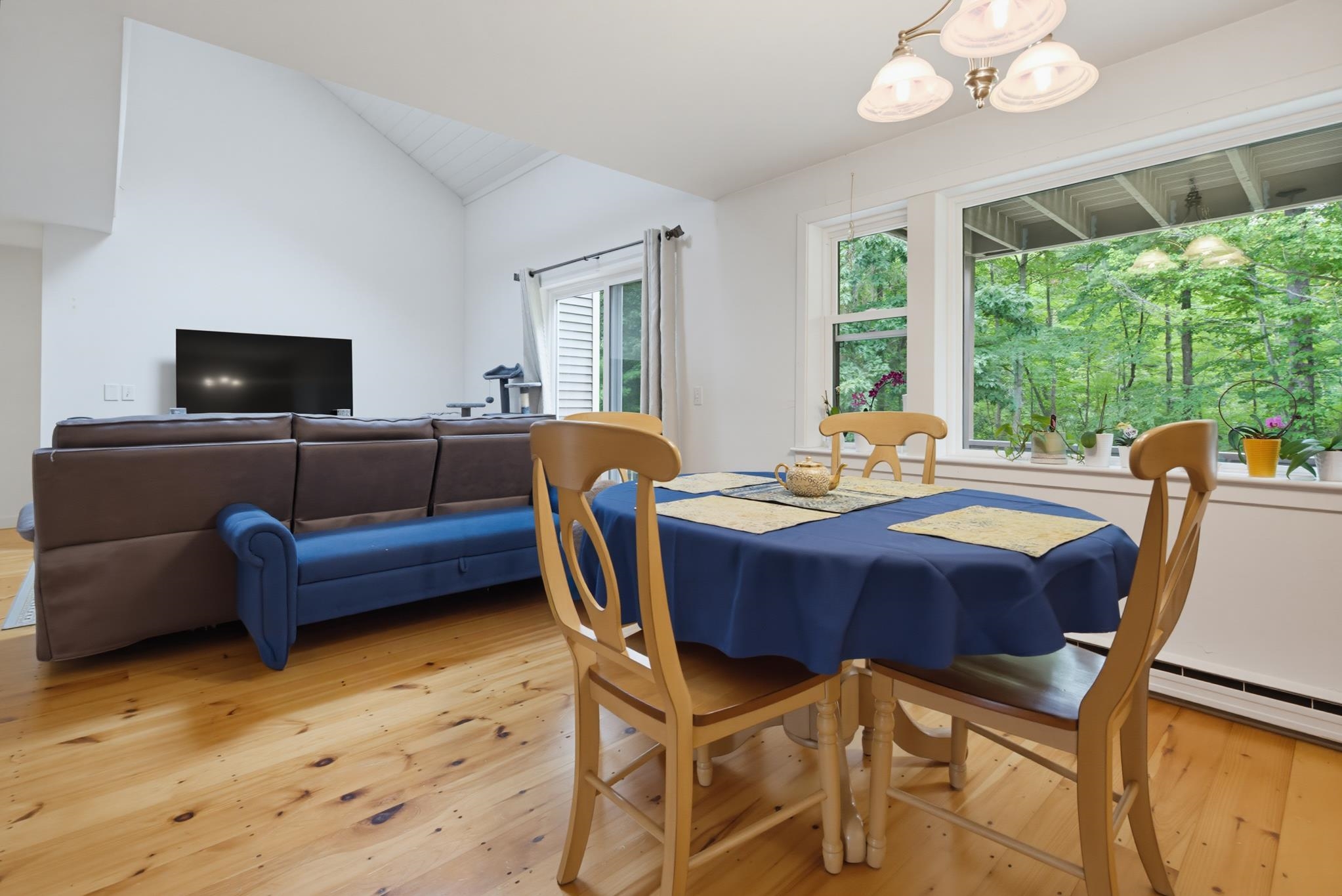 15 Kirriemuir Road Property Photo 11