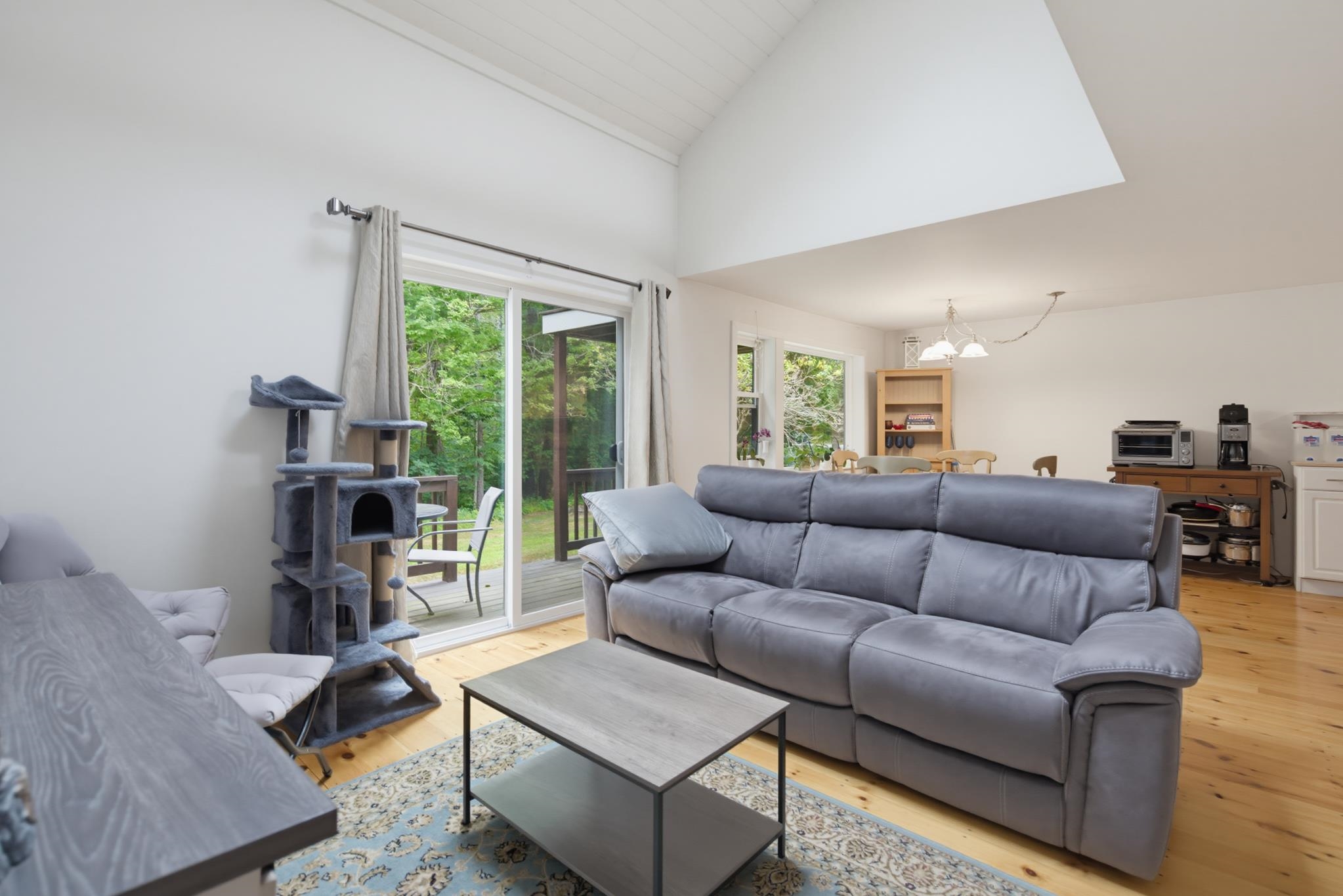 15 Kirriemuir Road Property Photo 14