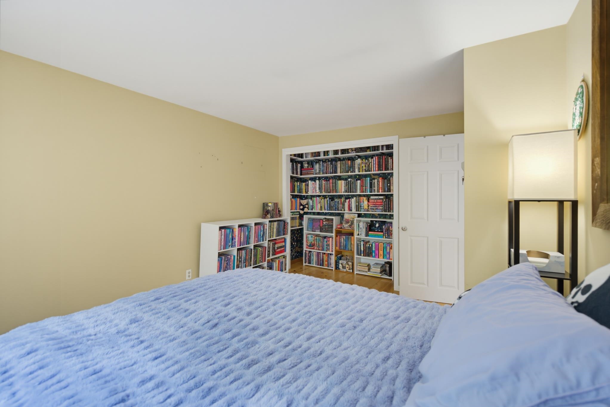 15 Kirriemuir Road Property Photo 24