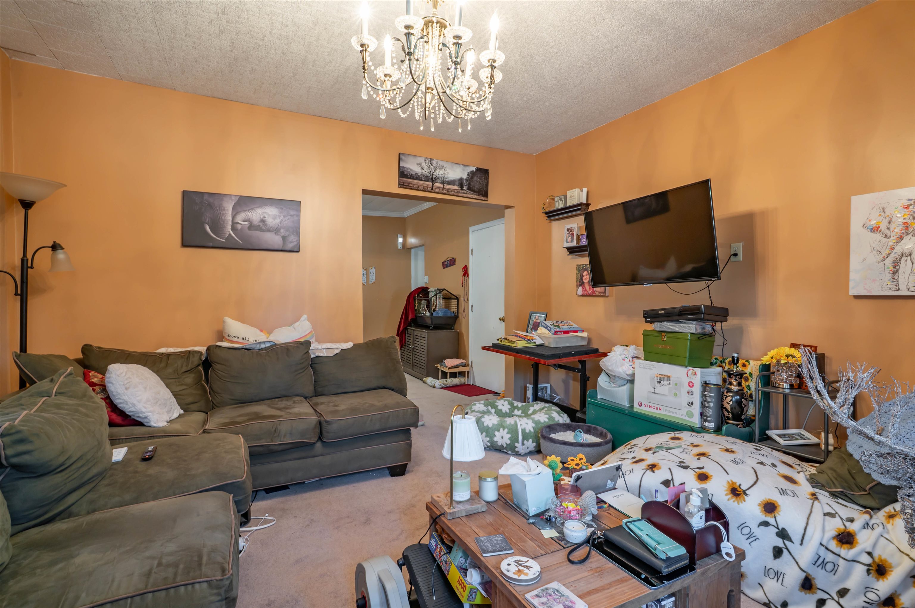 52 Amherst Street Property Photo 33