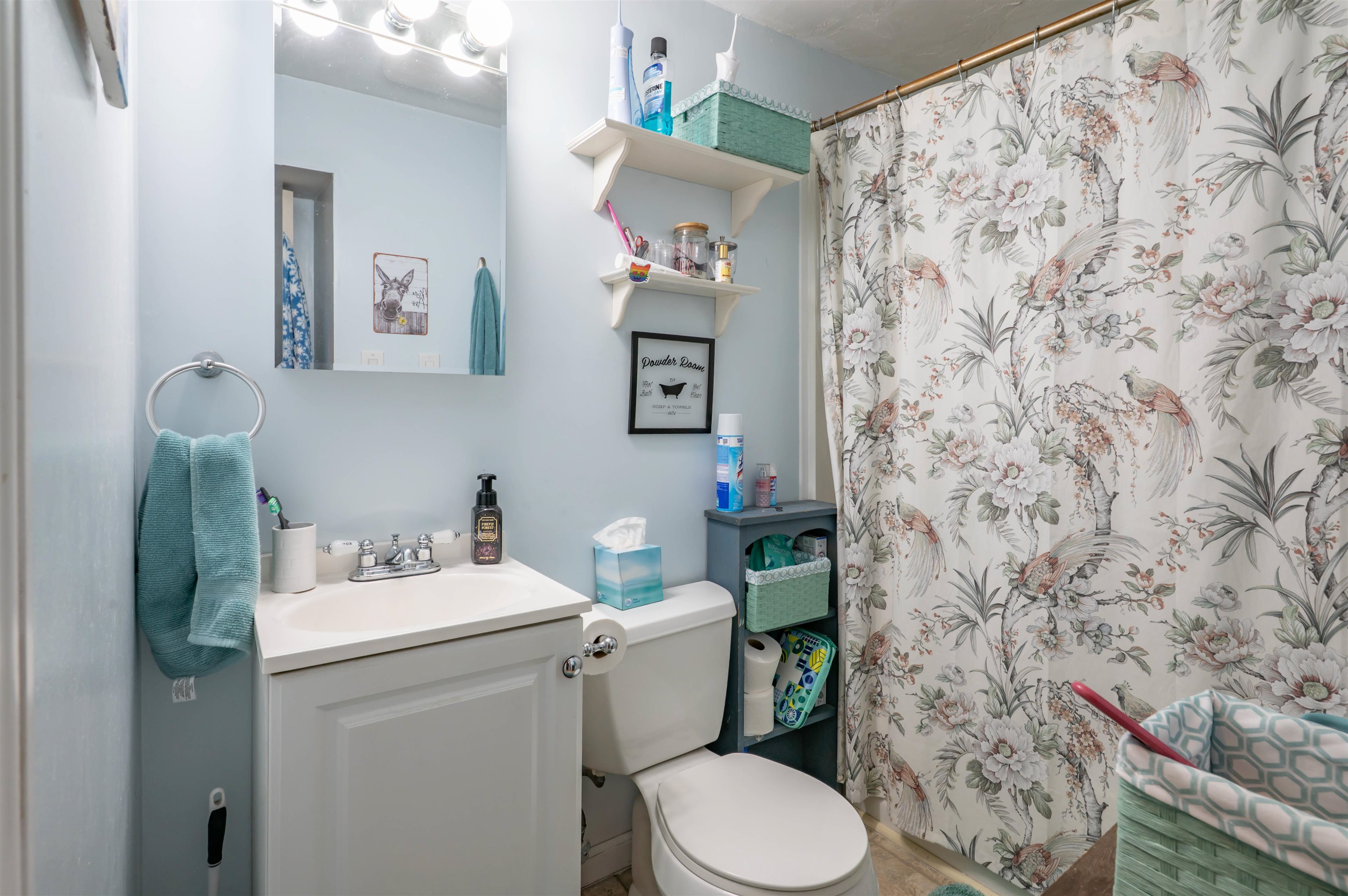 52 Amherst Street Property Photo 49