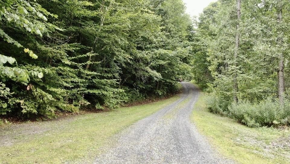 318 Weir Road Property Photo 45