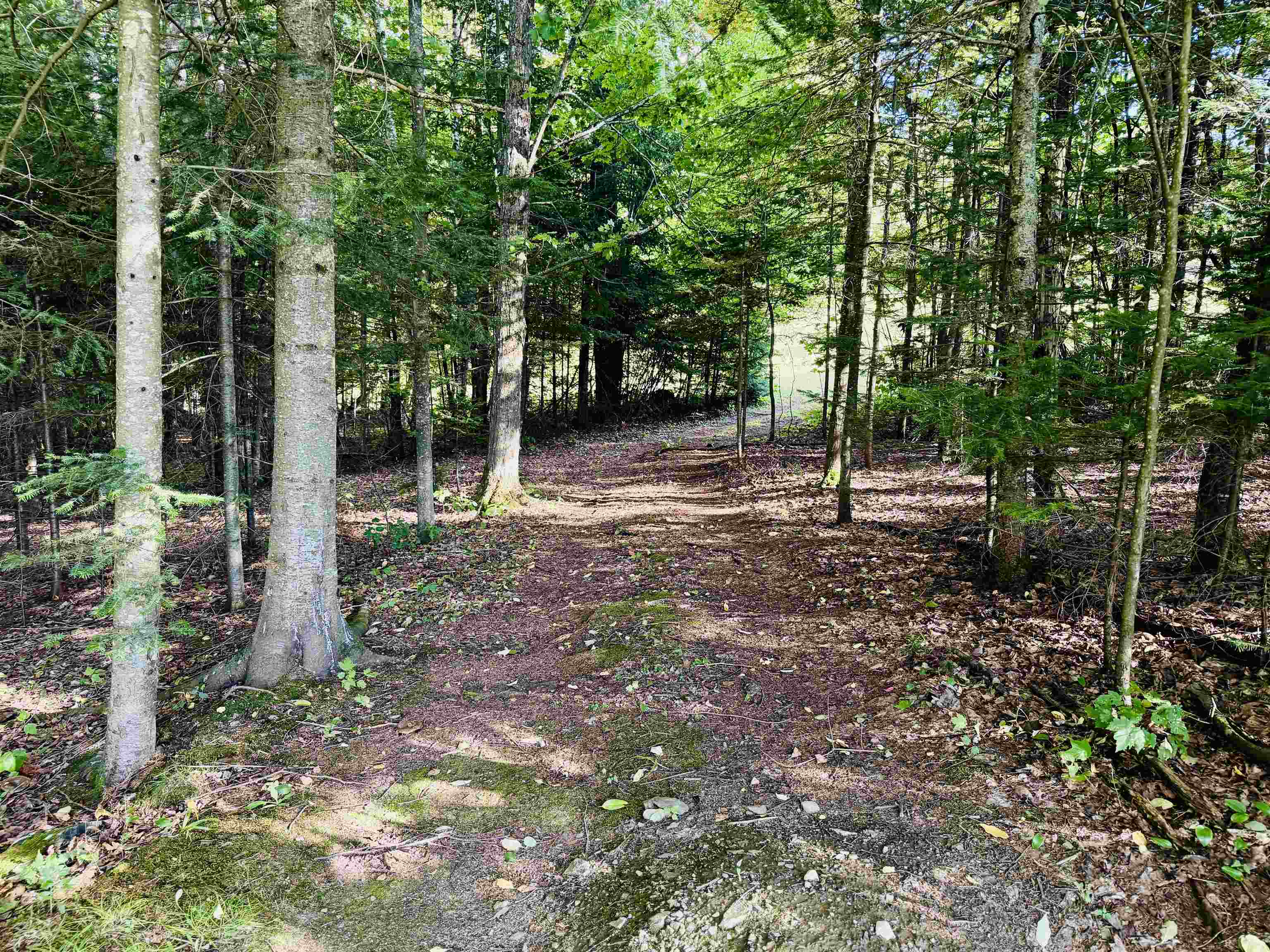 102 Perry Road Property Photo 10
