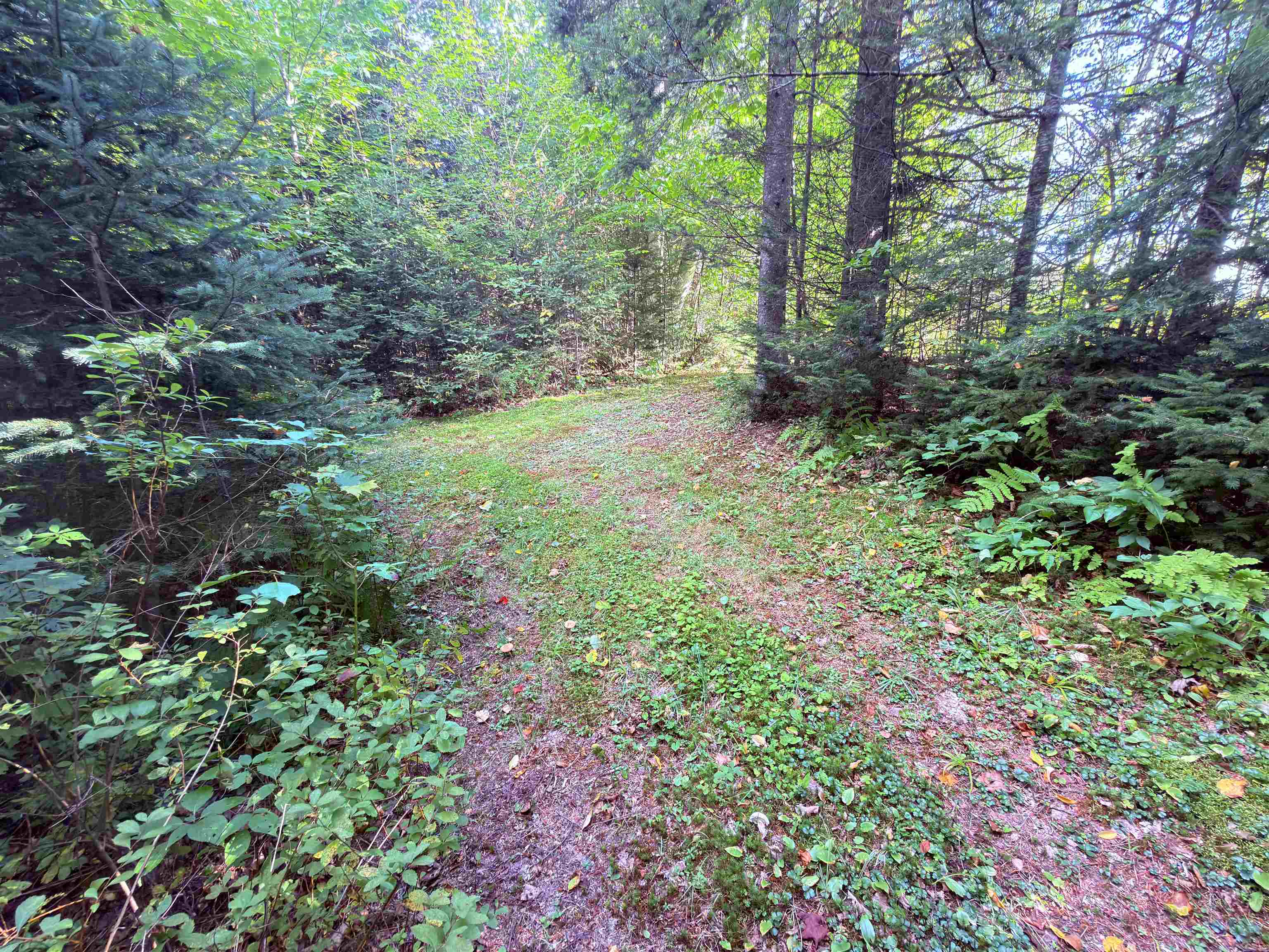 102 Perry Road Property Photo 49