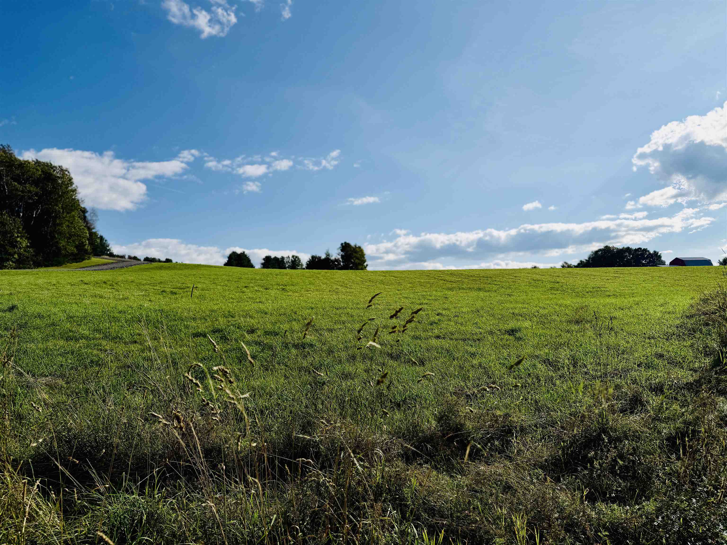 102 Perry Road Property Photo 51