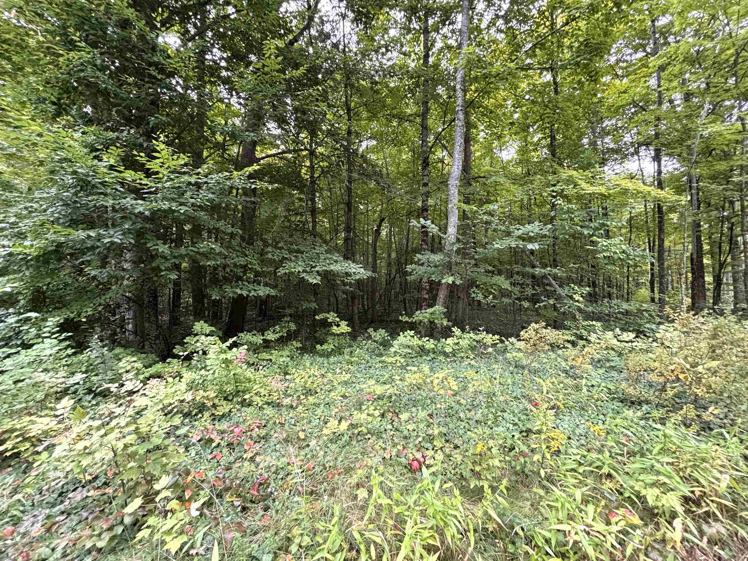0 Warner Road Property Photo 1
