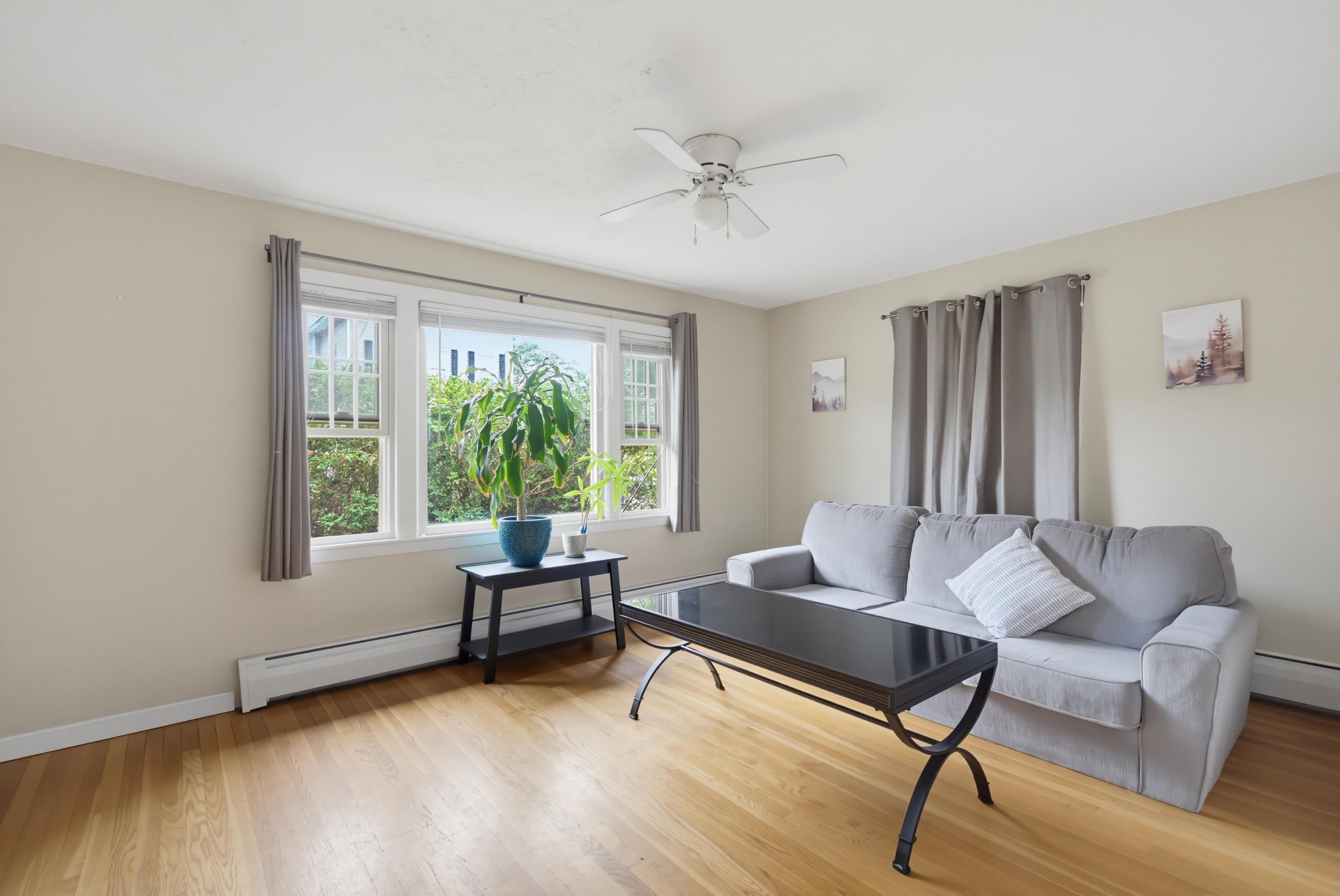 46 Myrtle Street Property Photo 8