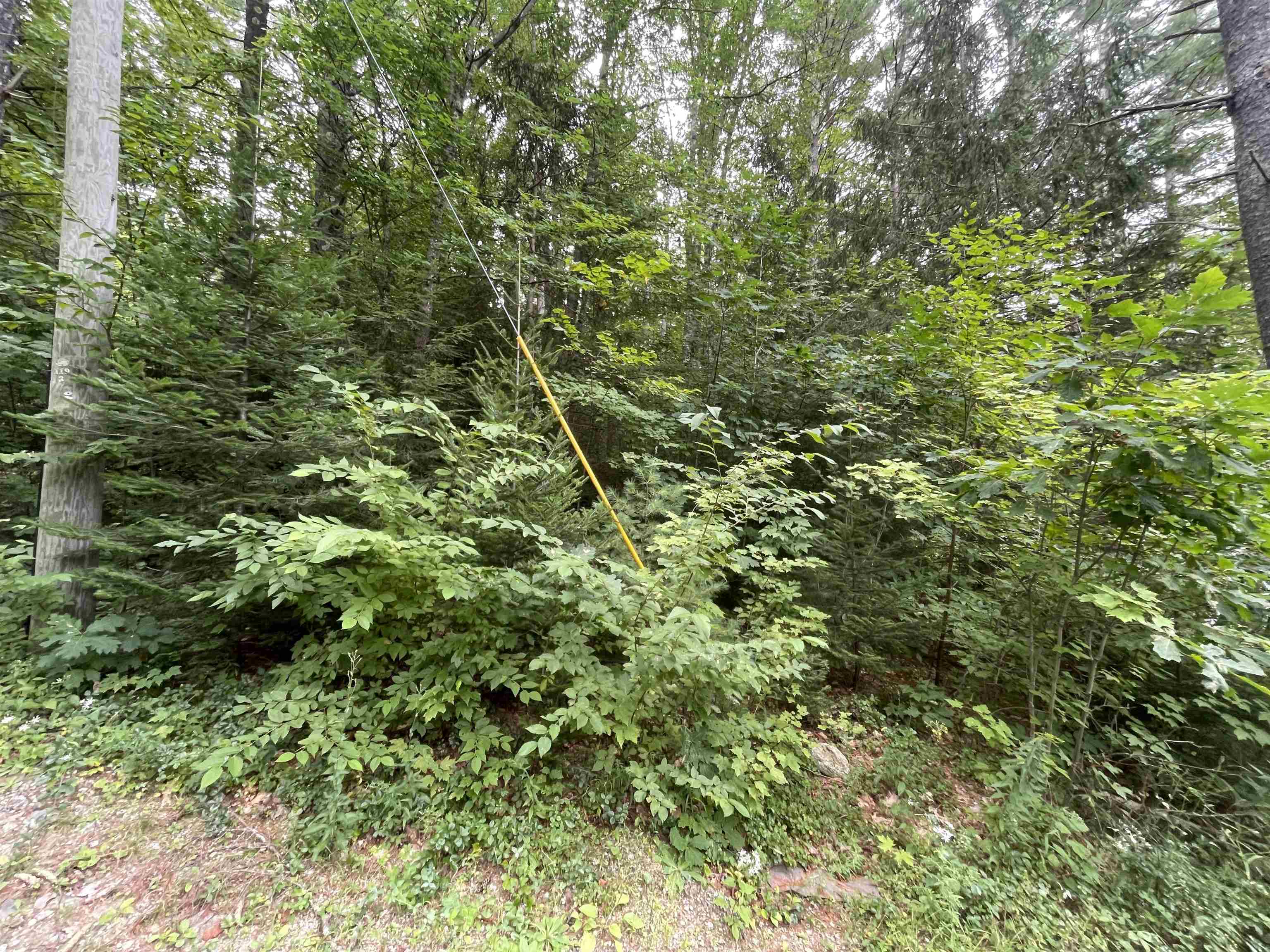 Sweeney Road Property Photo 1