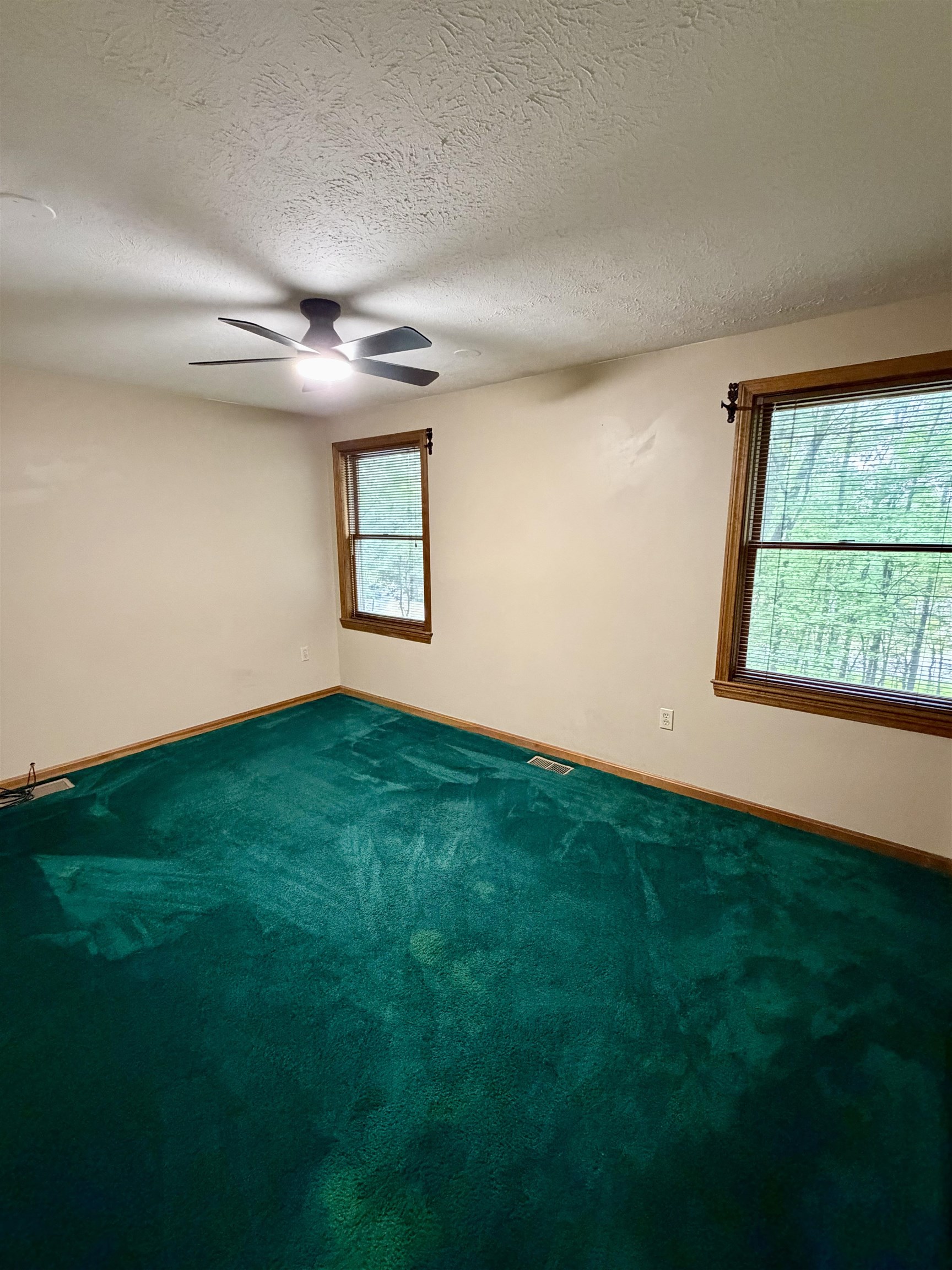 16 Windsor Drive Property Photo 29