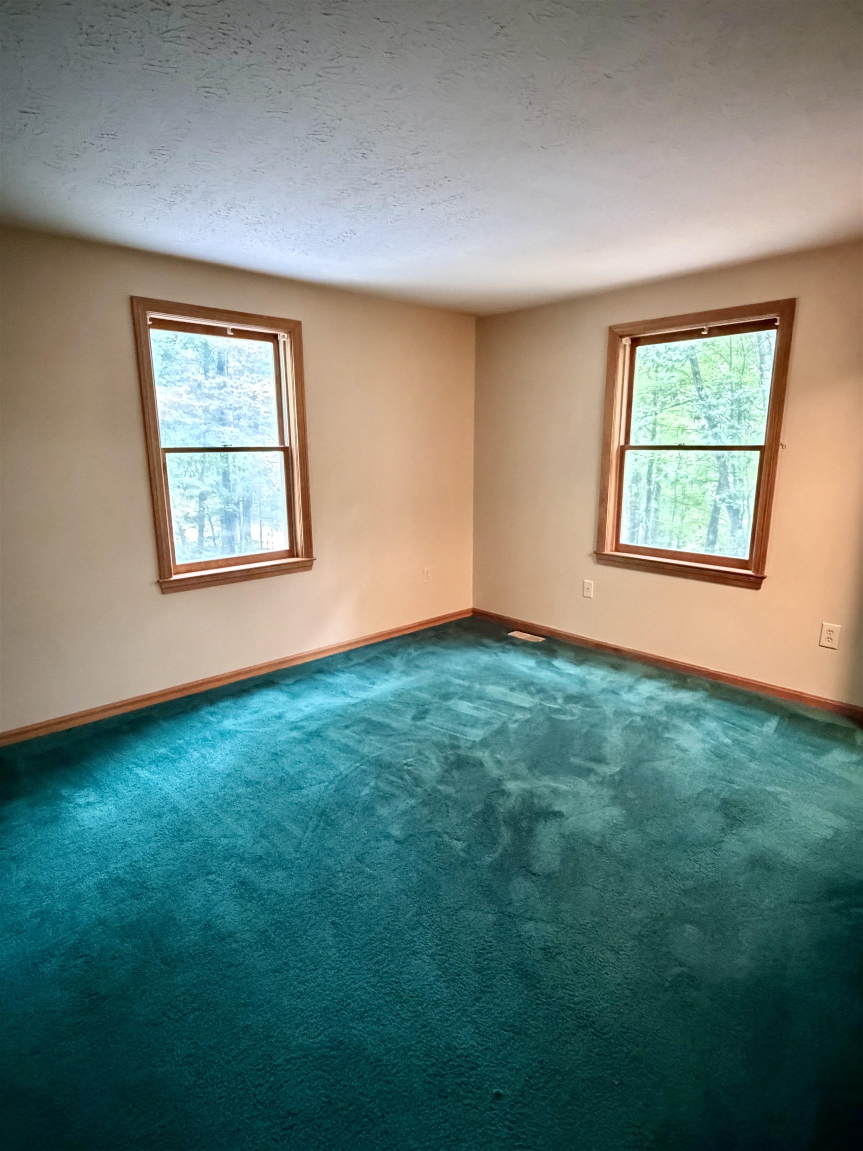 16 Windsor Drive Property Photo 31