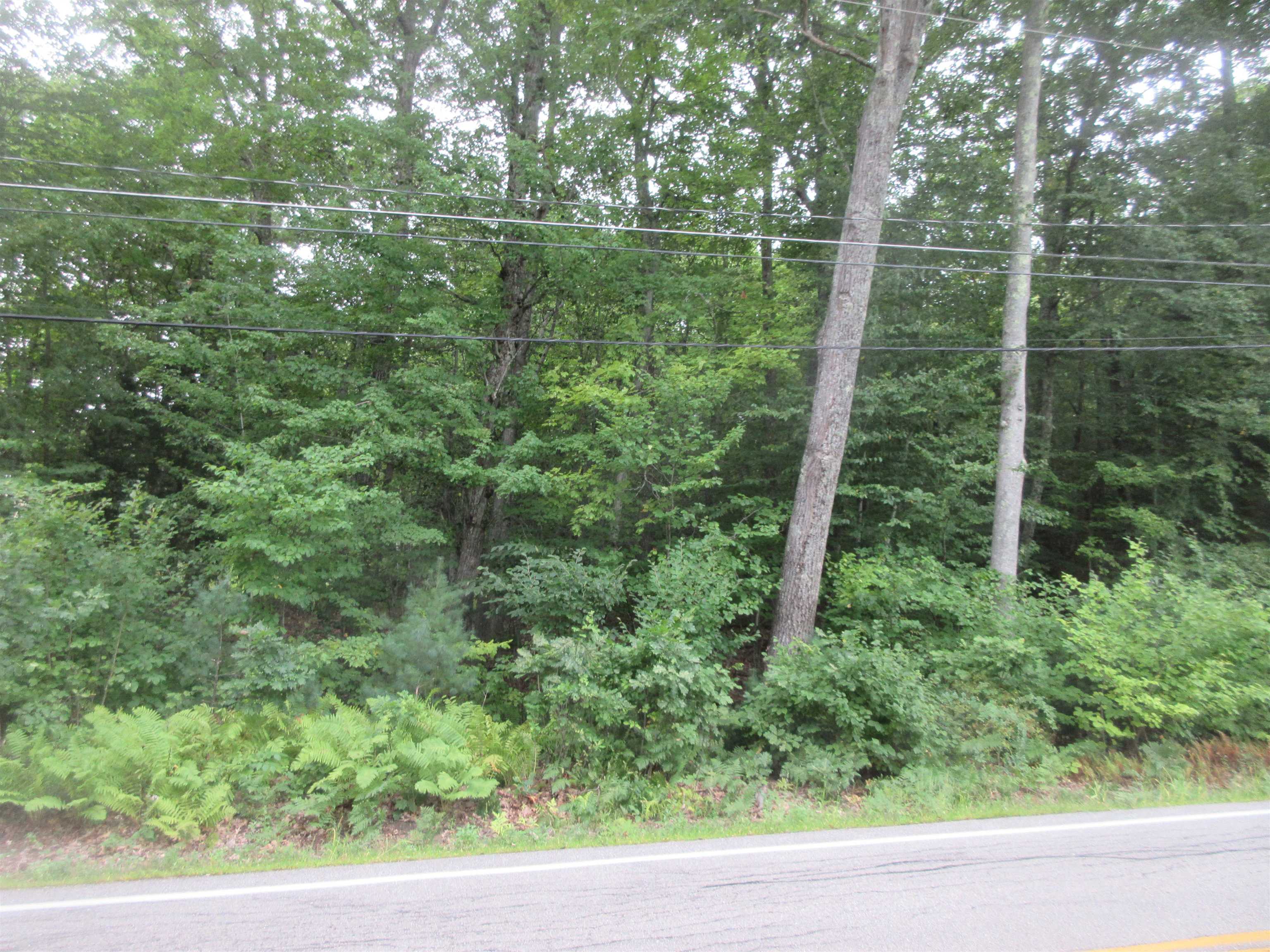 Chesley Hill Road Property Photo 1