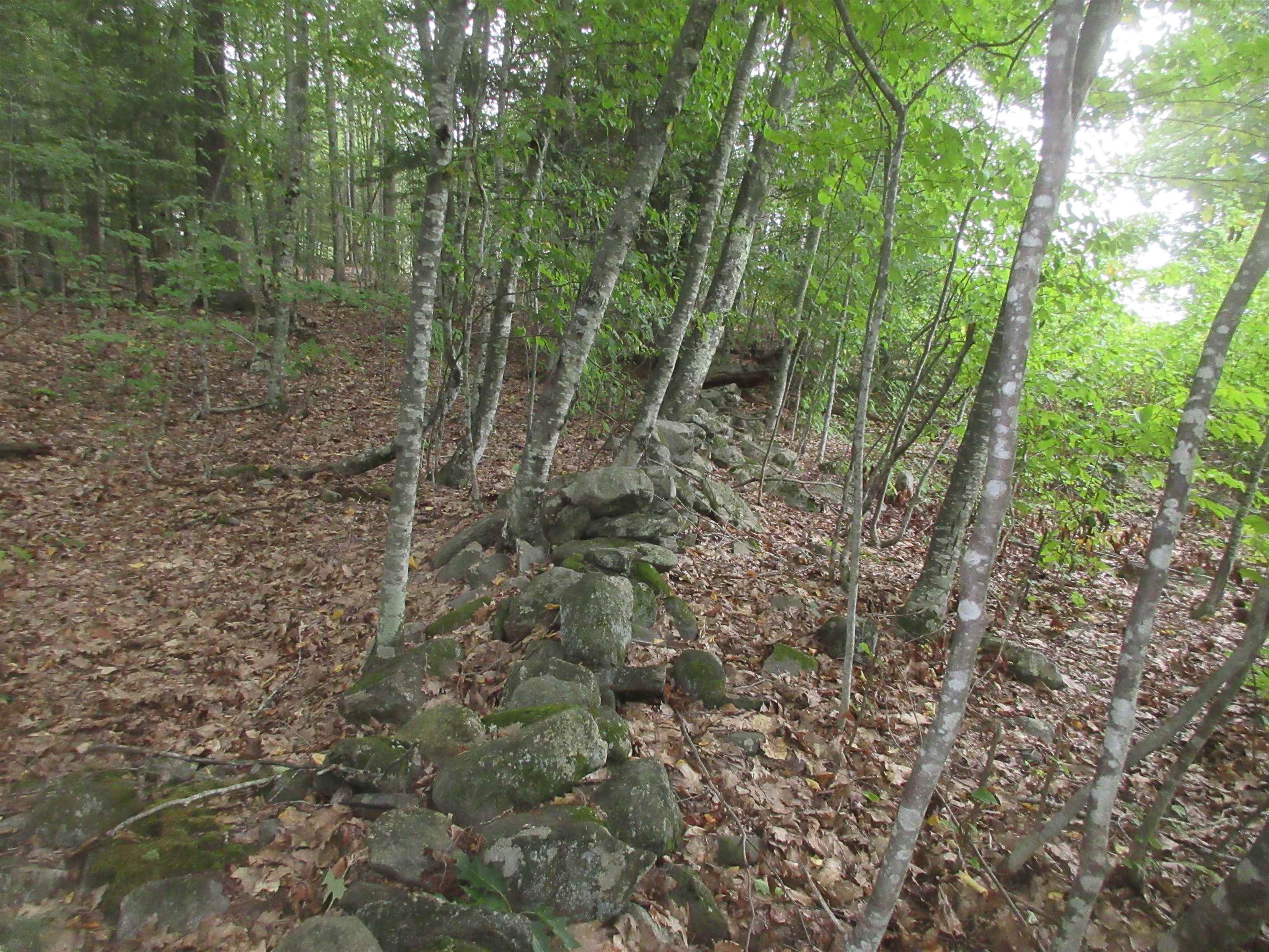 Chesley Hill Road Property Photo 2