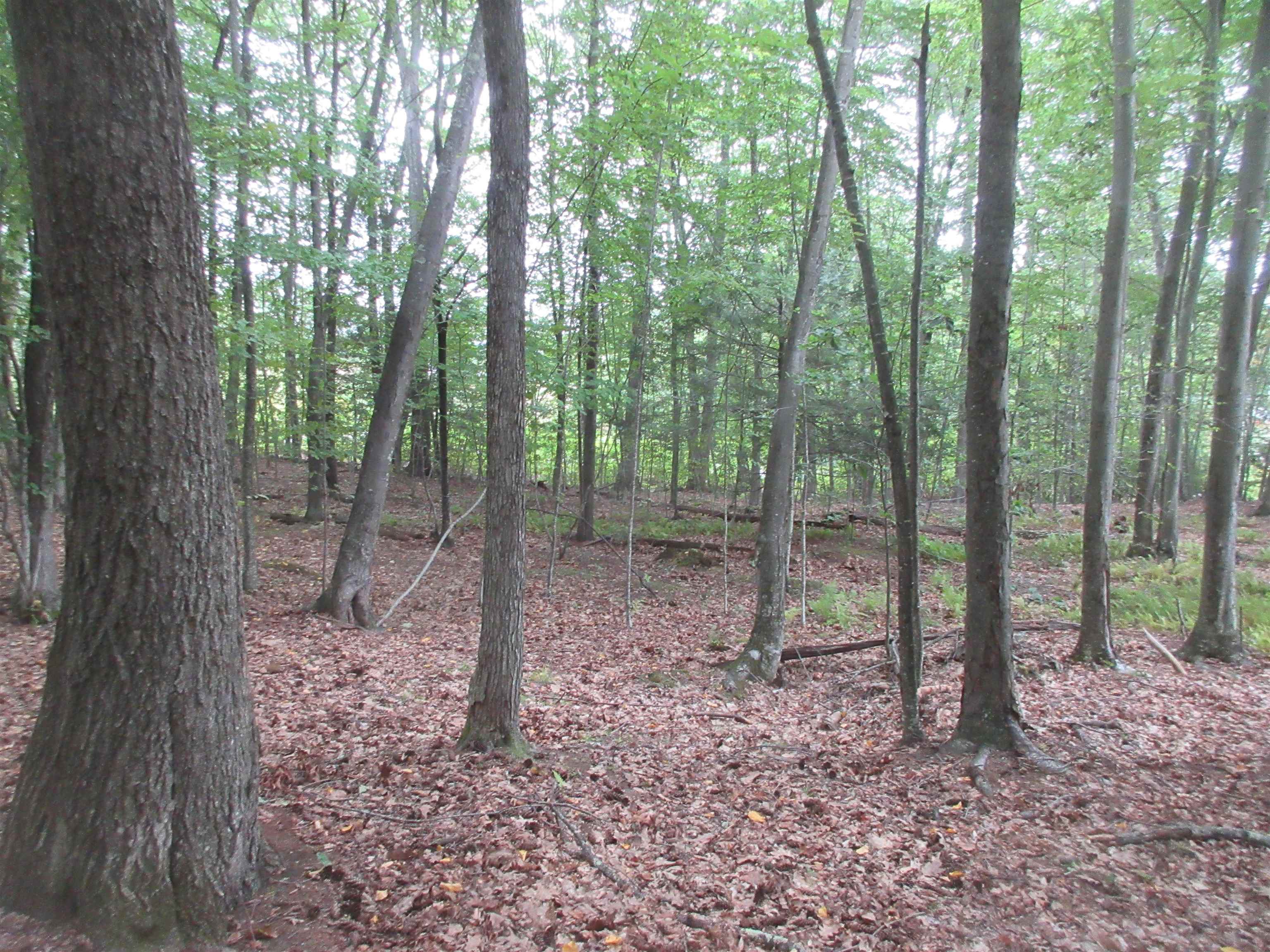Chesley Hill Road Property Photo 4