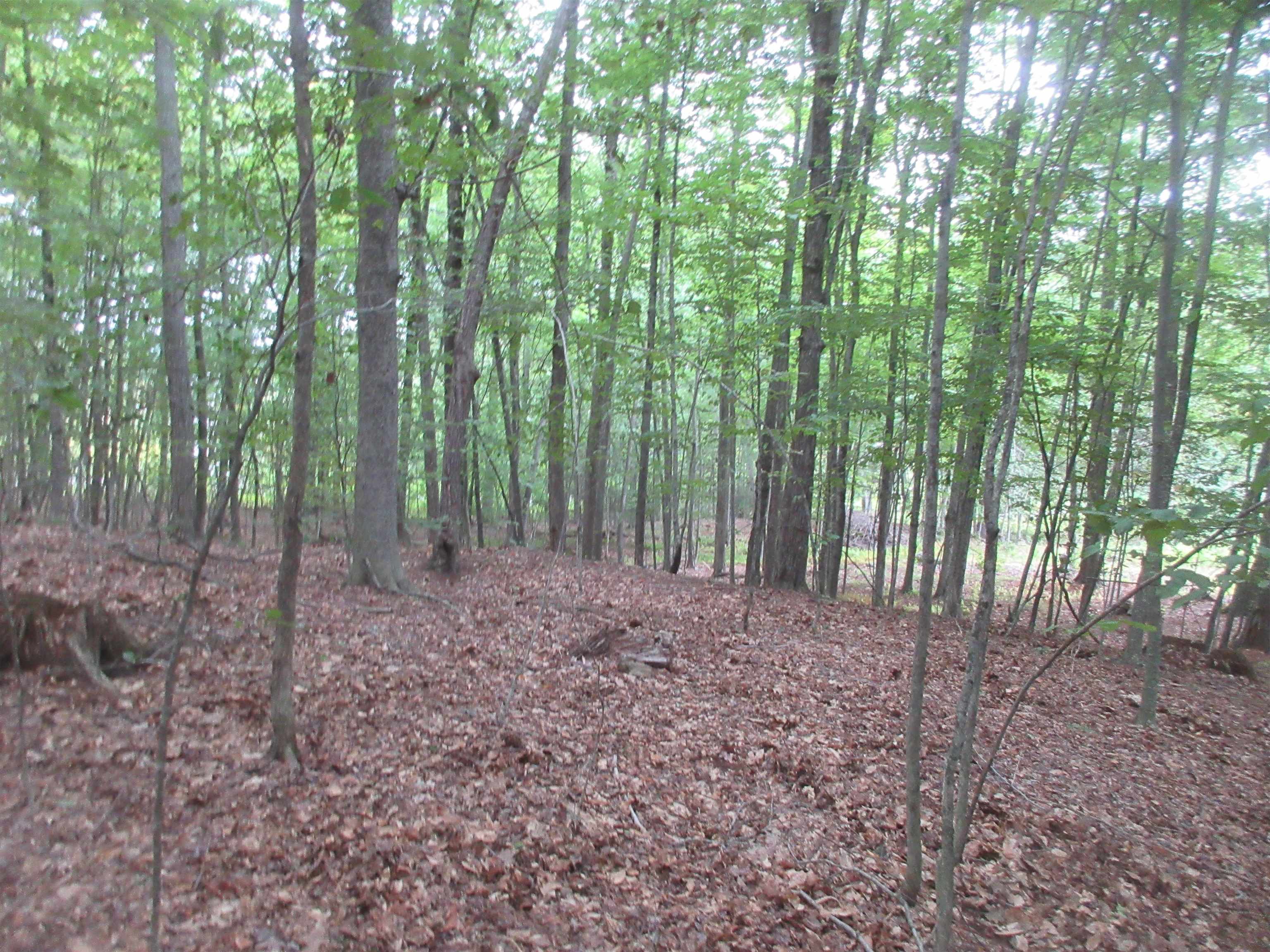 Chesley Hill Road Property Photo 4