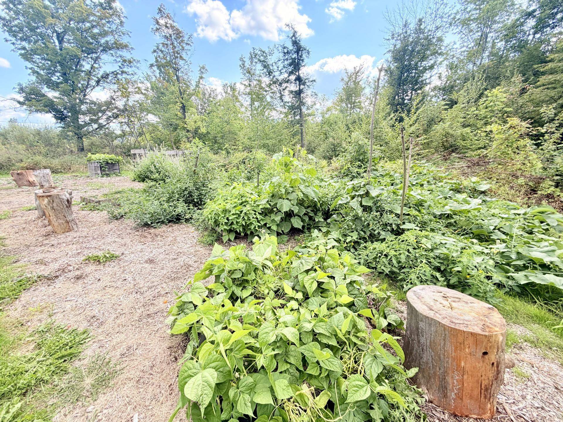 839 Robitaille Road Property Photo 44