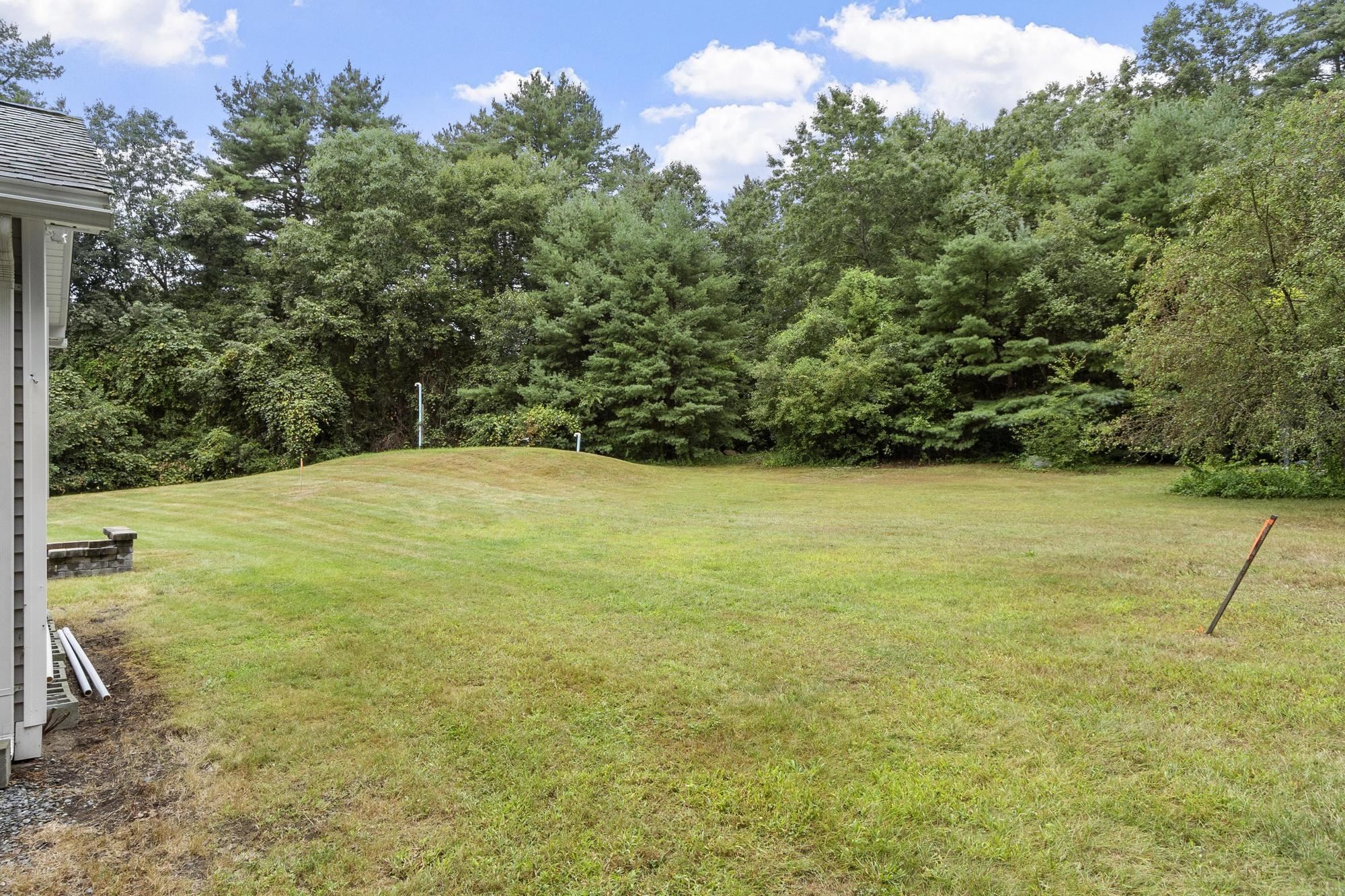 845 Bridge Street Property Photo 29
