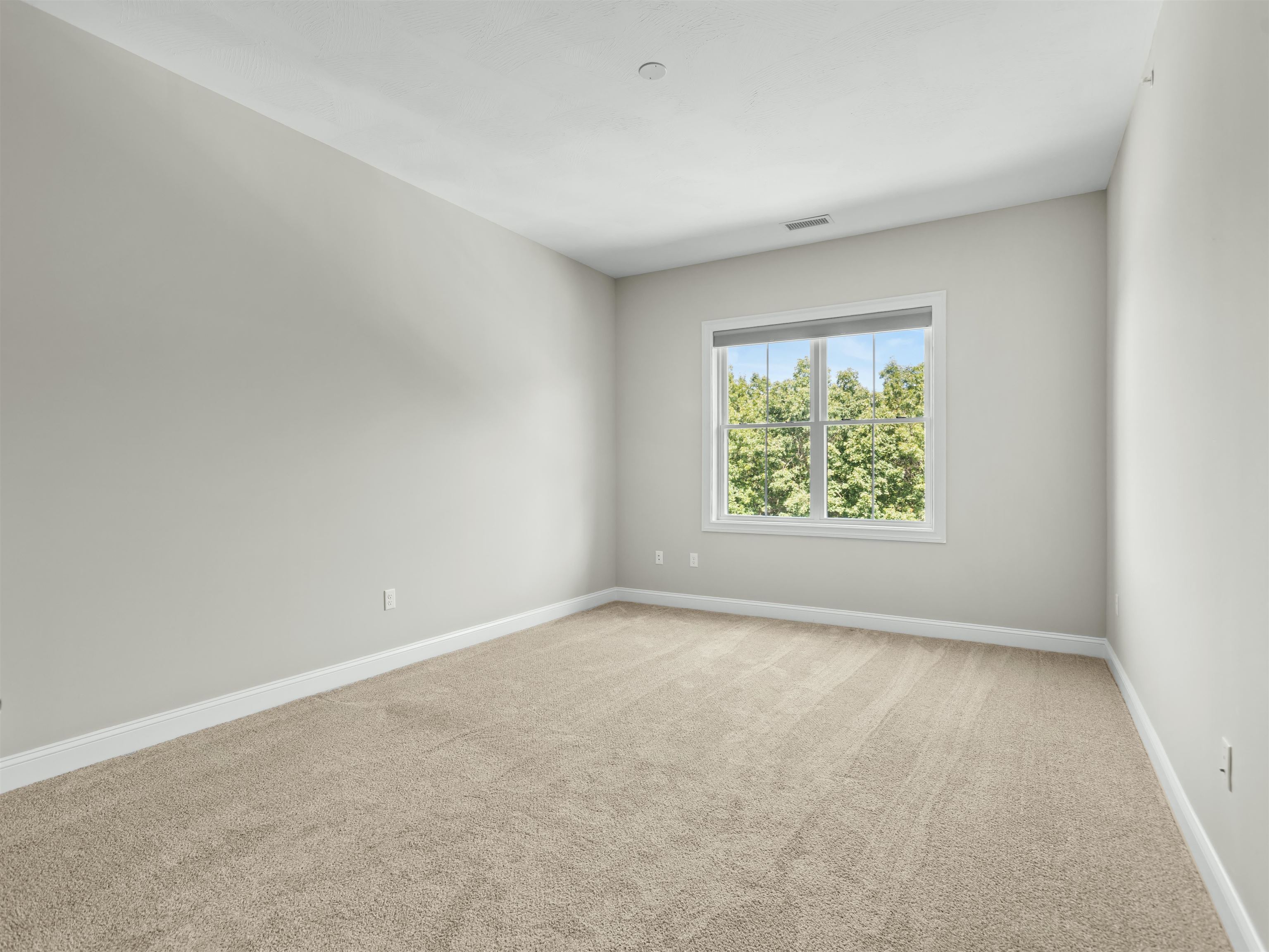 2 Henry David Drive Property Photo 19
