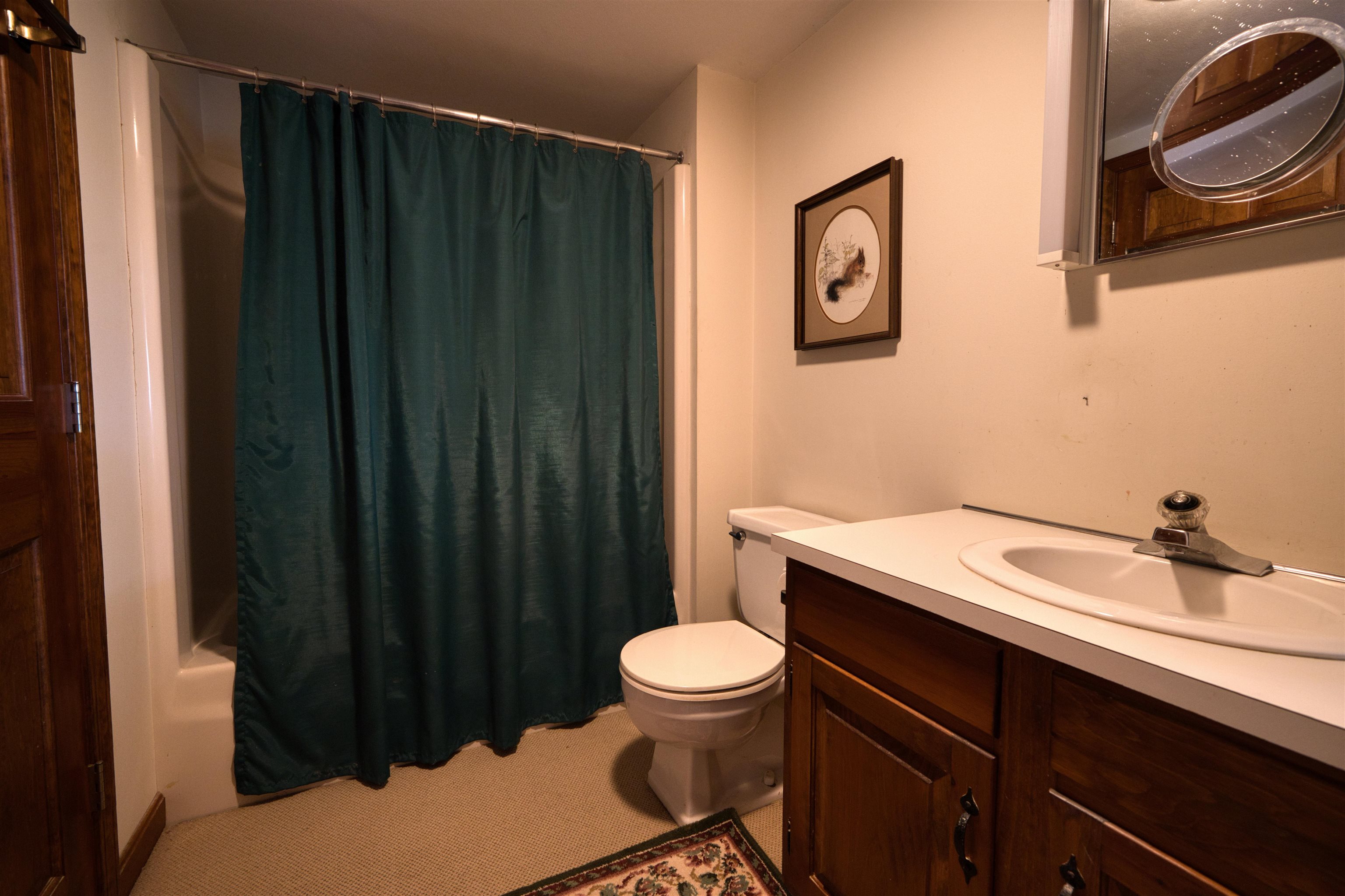 436 Pequawket Trail Property Photo 40