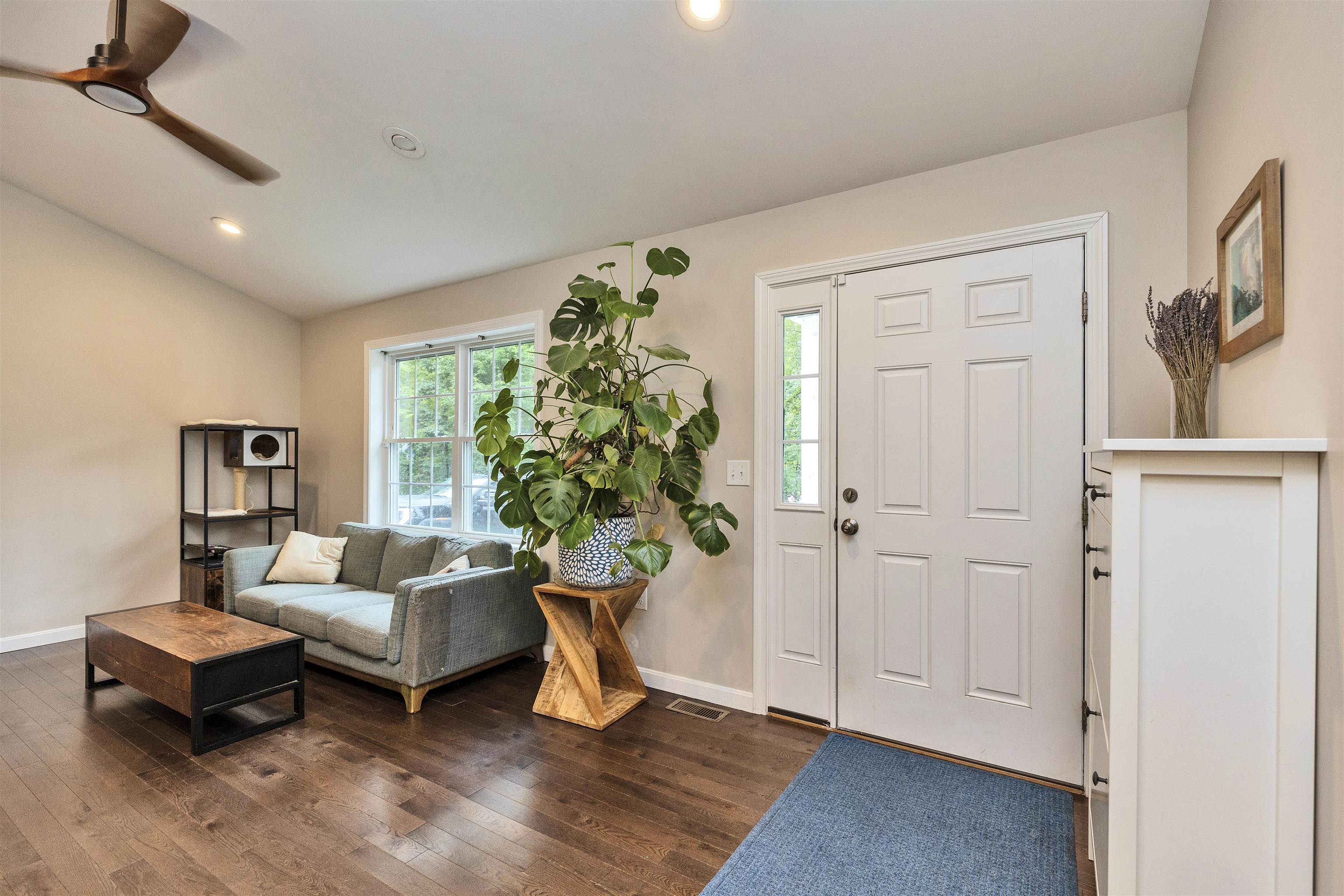 12 Springvale Avenue Property Photo 4