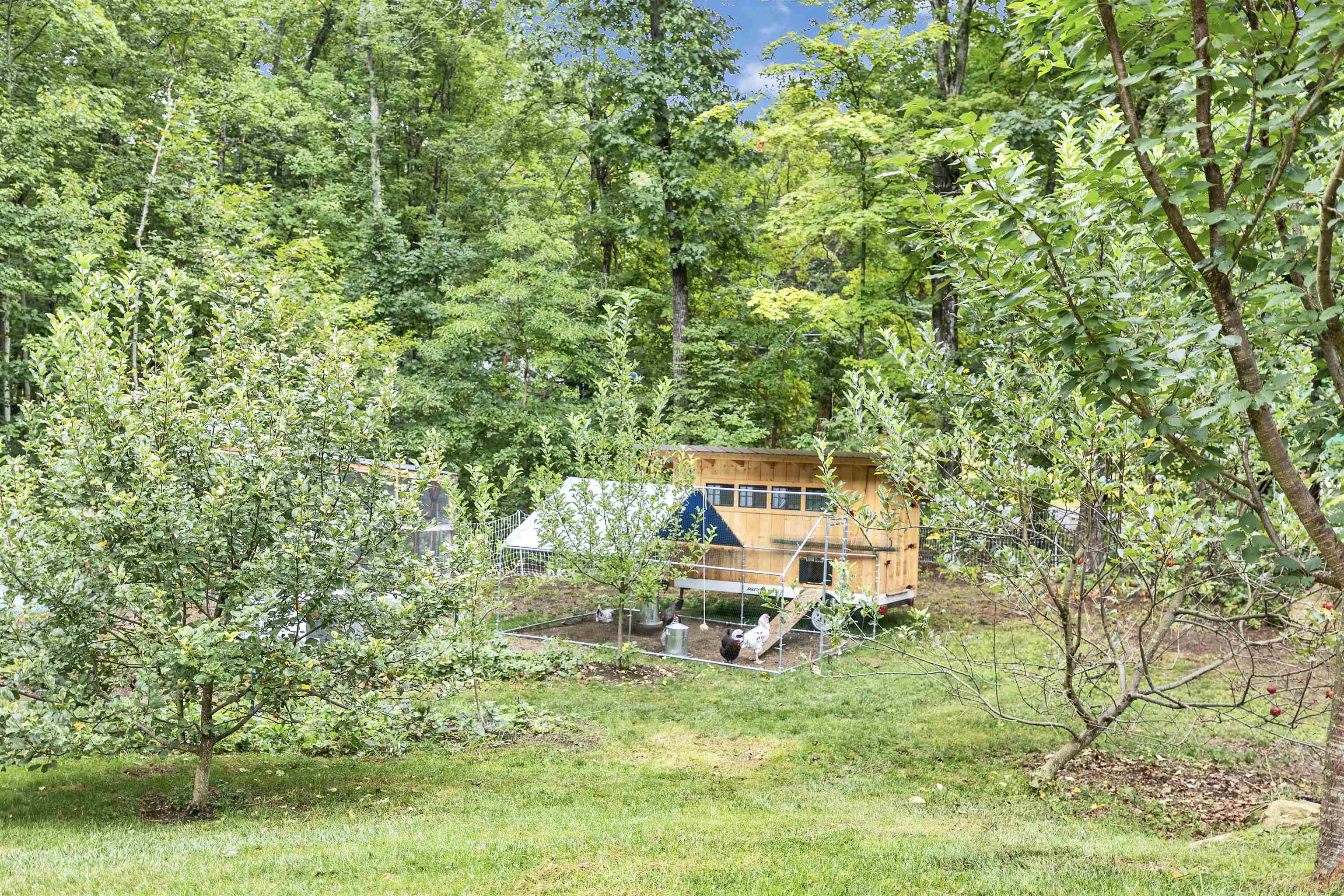 12 Springvale Avenue Property Photo 35