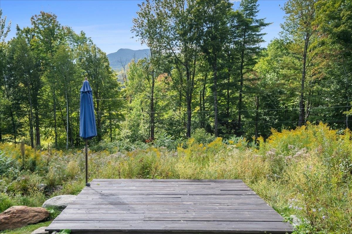 1314 Scrabble Hill Road Property Photo 41