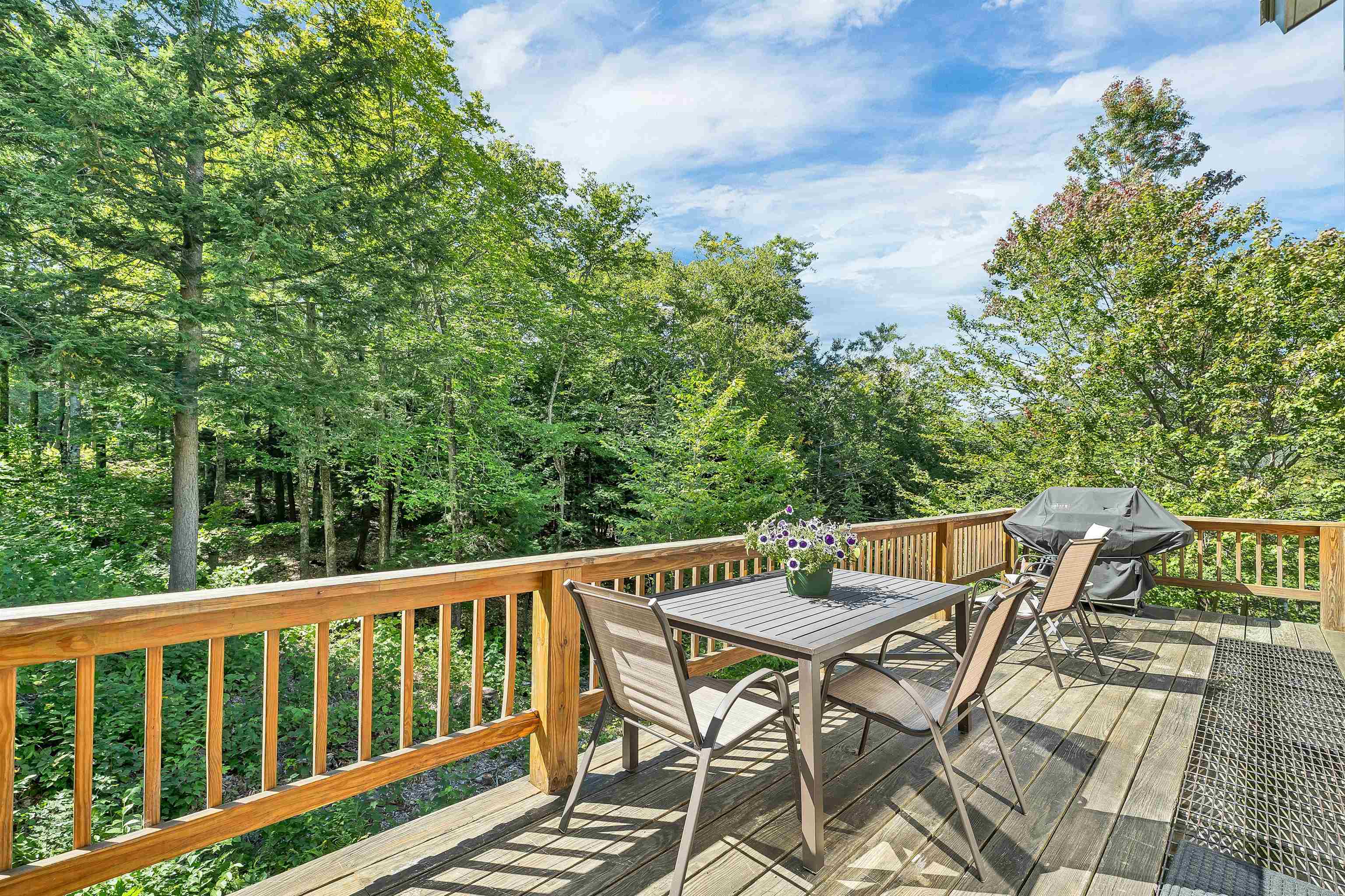 31 Ammonoosuc Drive Property Photo 19
