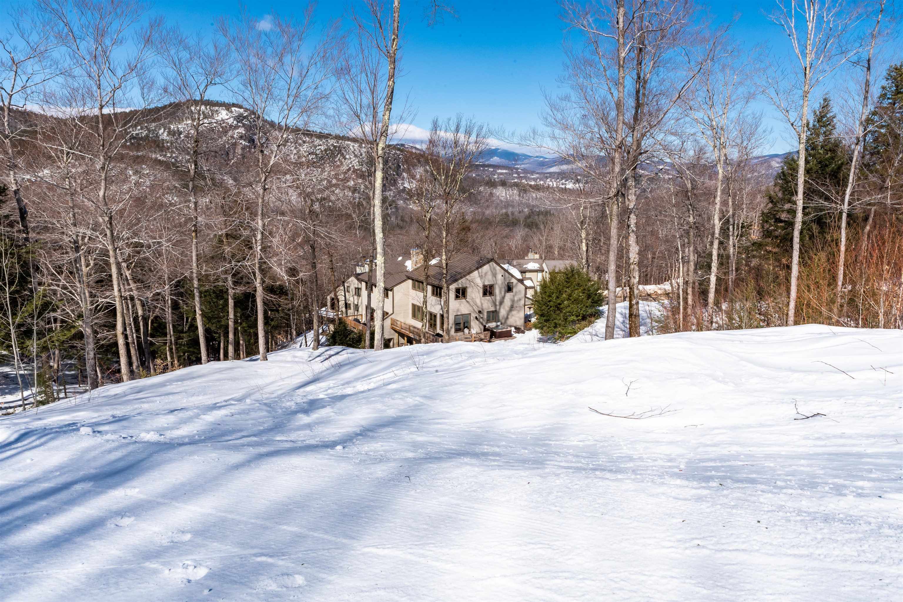 31 Ammonoosuc Drive Property Photo 48