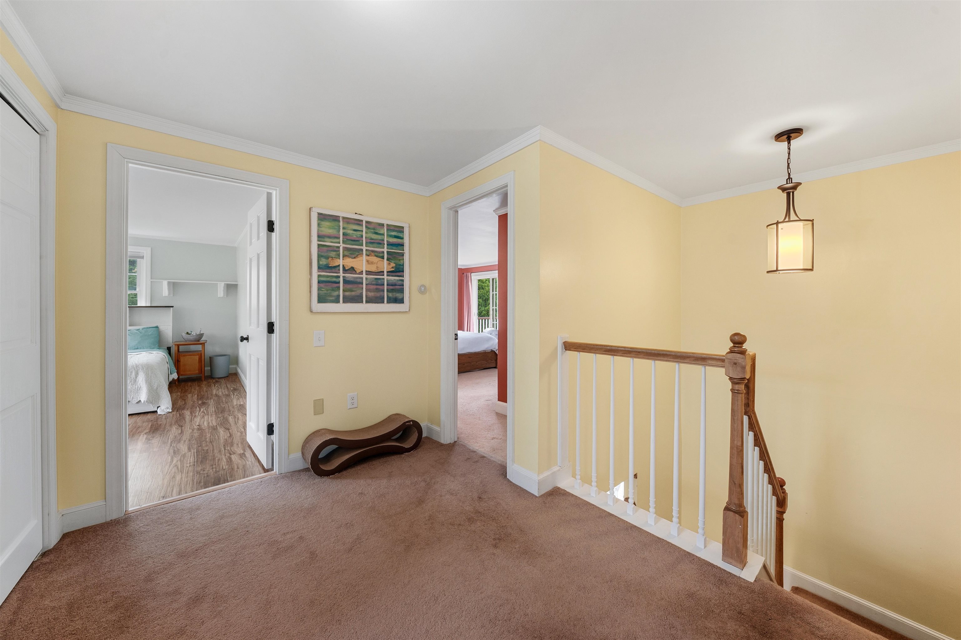 47 Nottingham Road Property Photo 22
