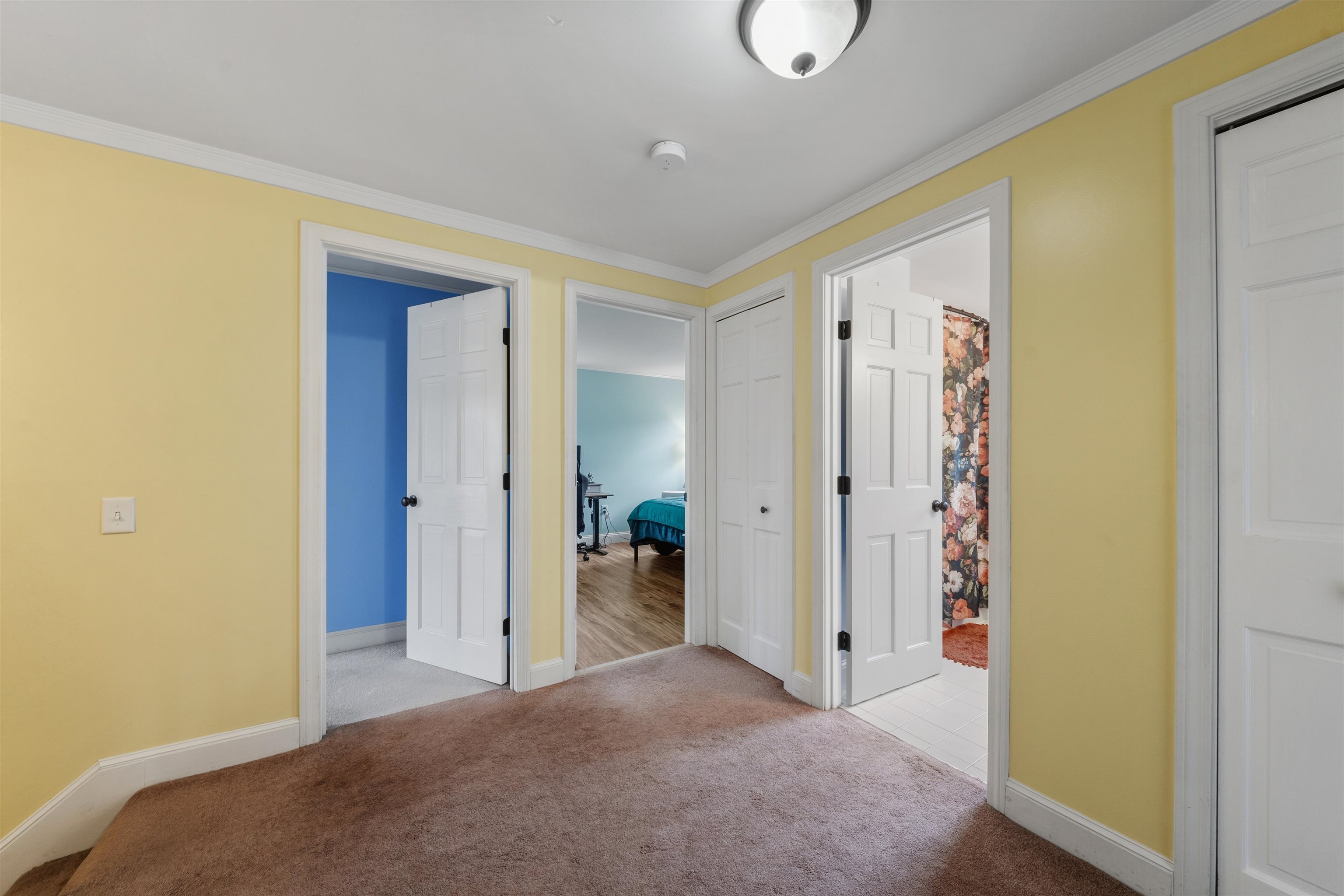 47 Nottingham Road Property Photo 23