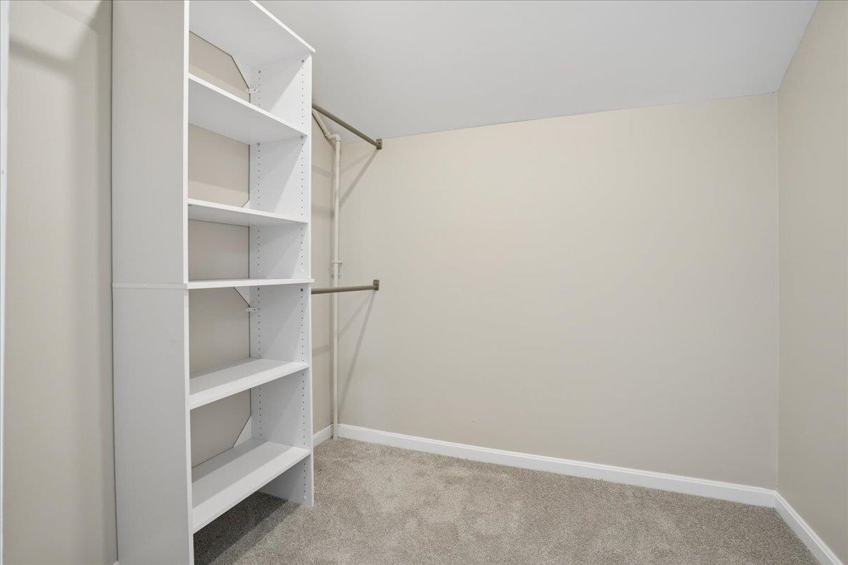 26 Lamonte Street Property Photo 30