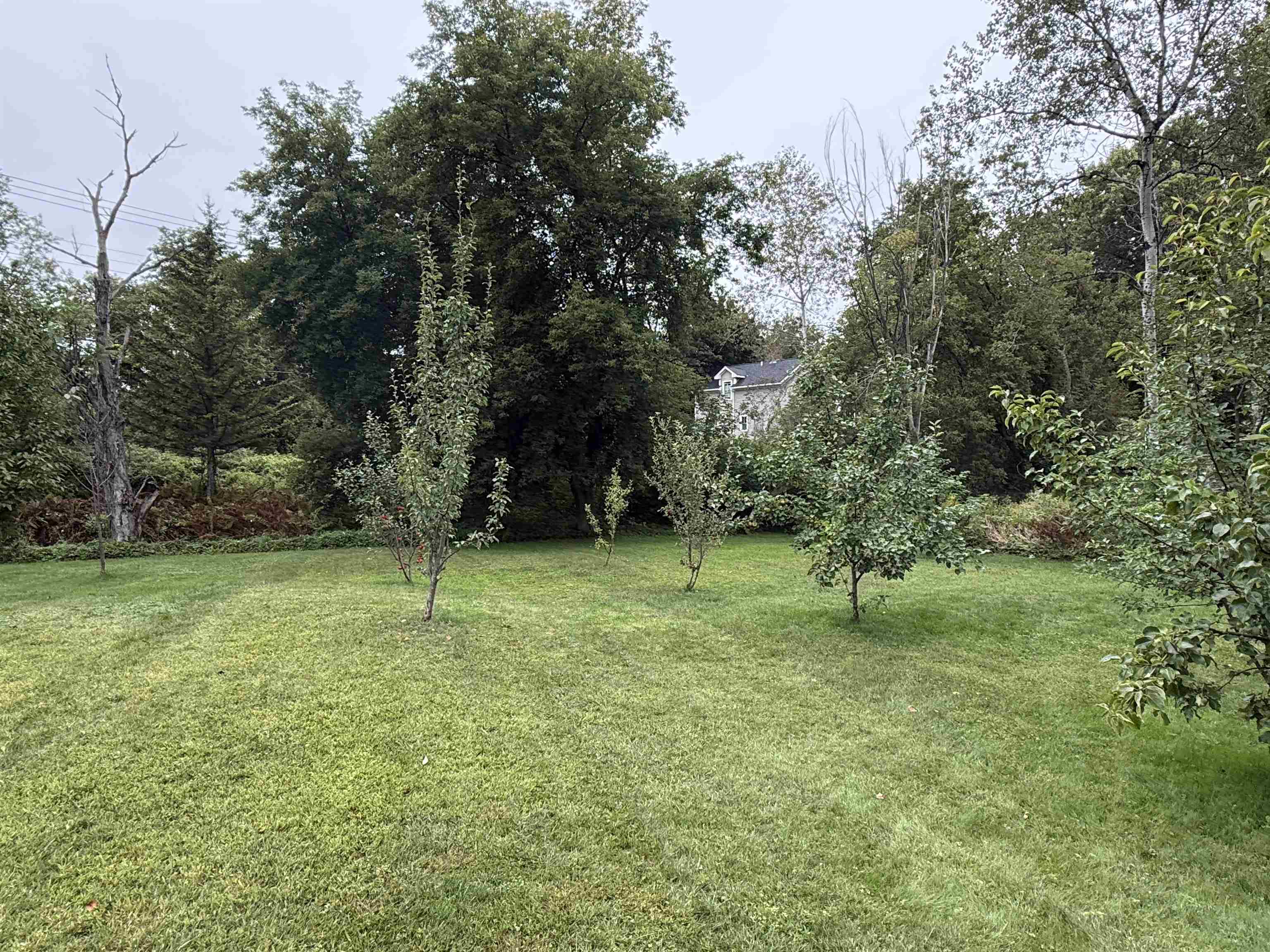7 River Road Property Photo 17