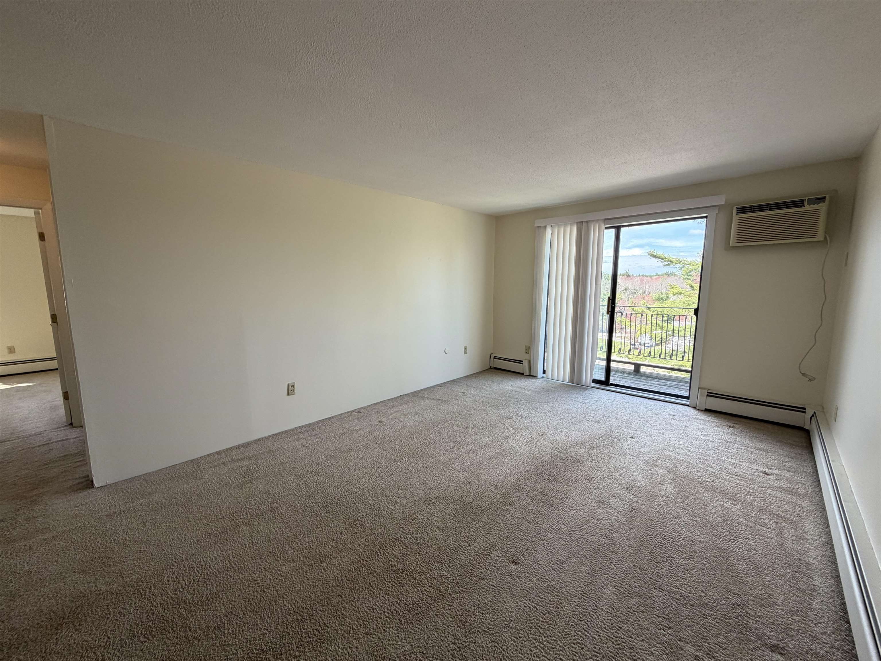134 Mammoth Road Property Photo 4
