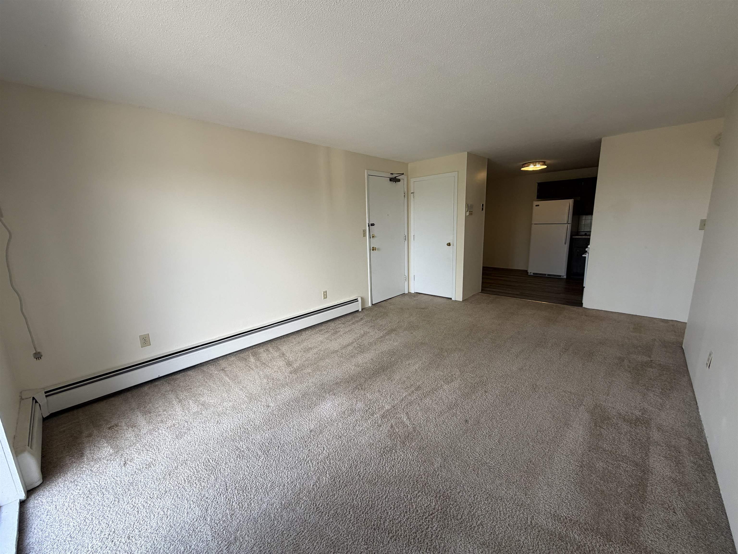 134 Mammoth Road Property Photo 5