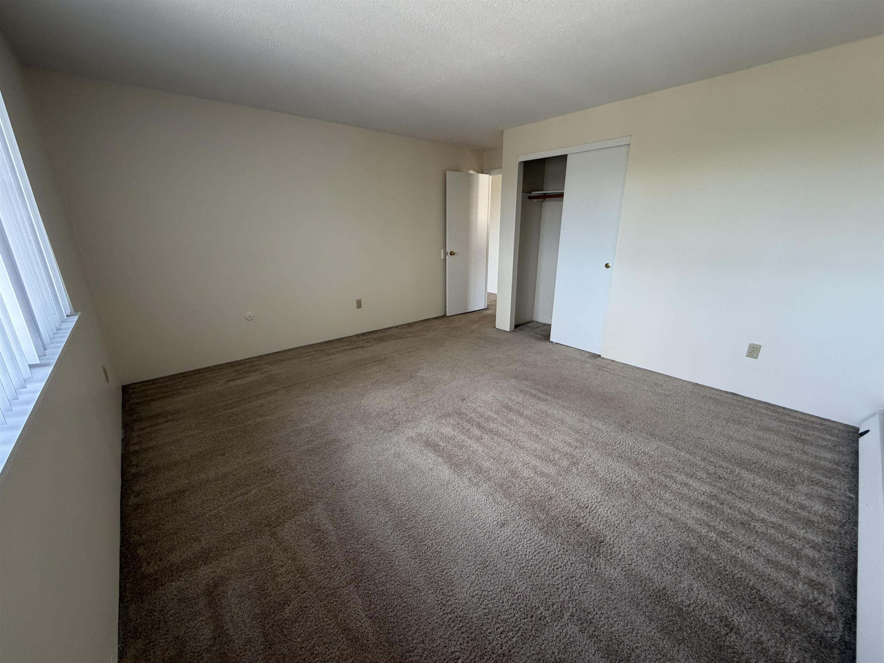134 Mammoth Road Property Photo 6