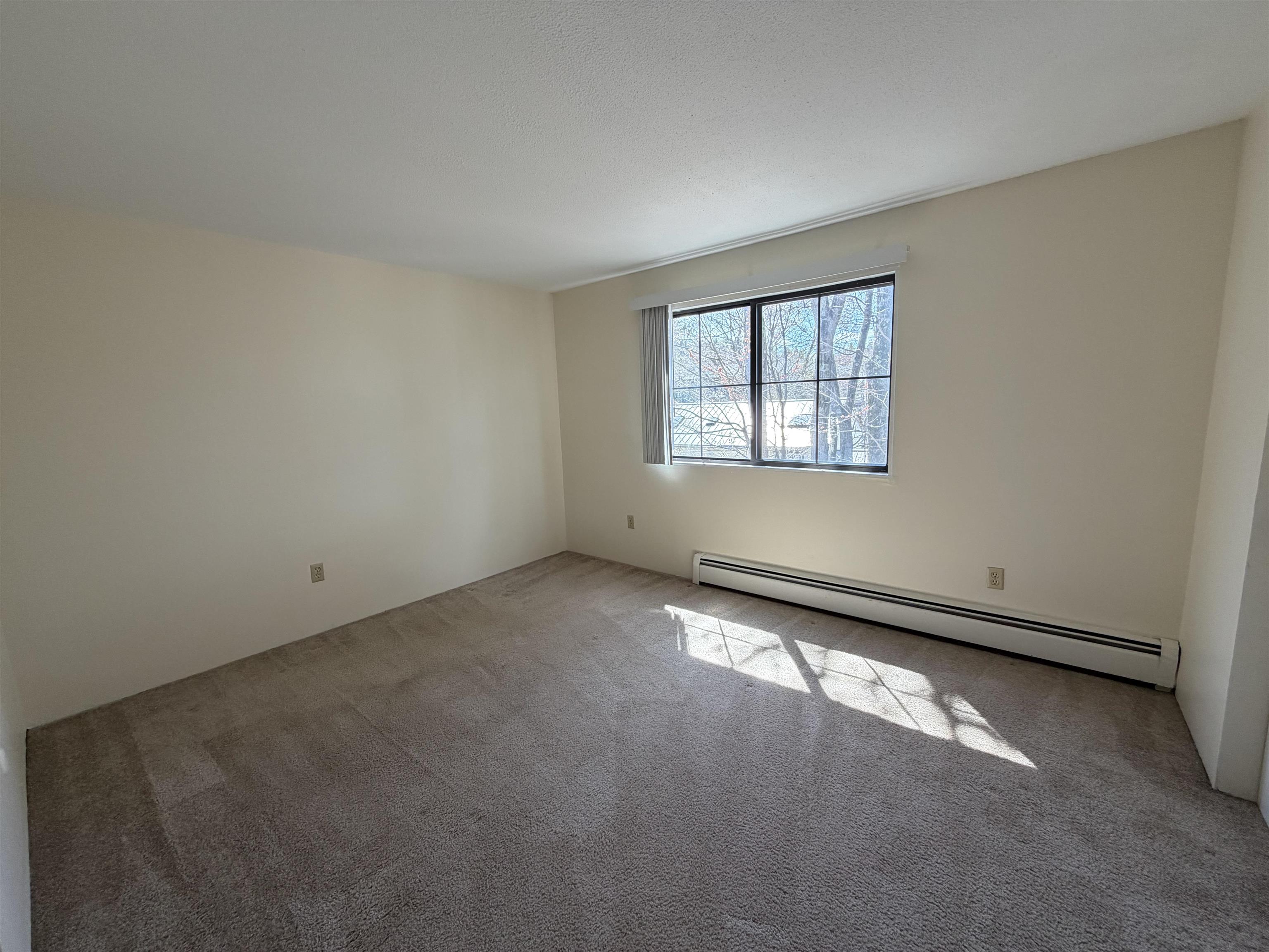 134 Mammoth Road Property Photo 8