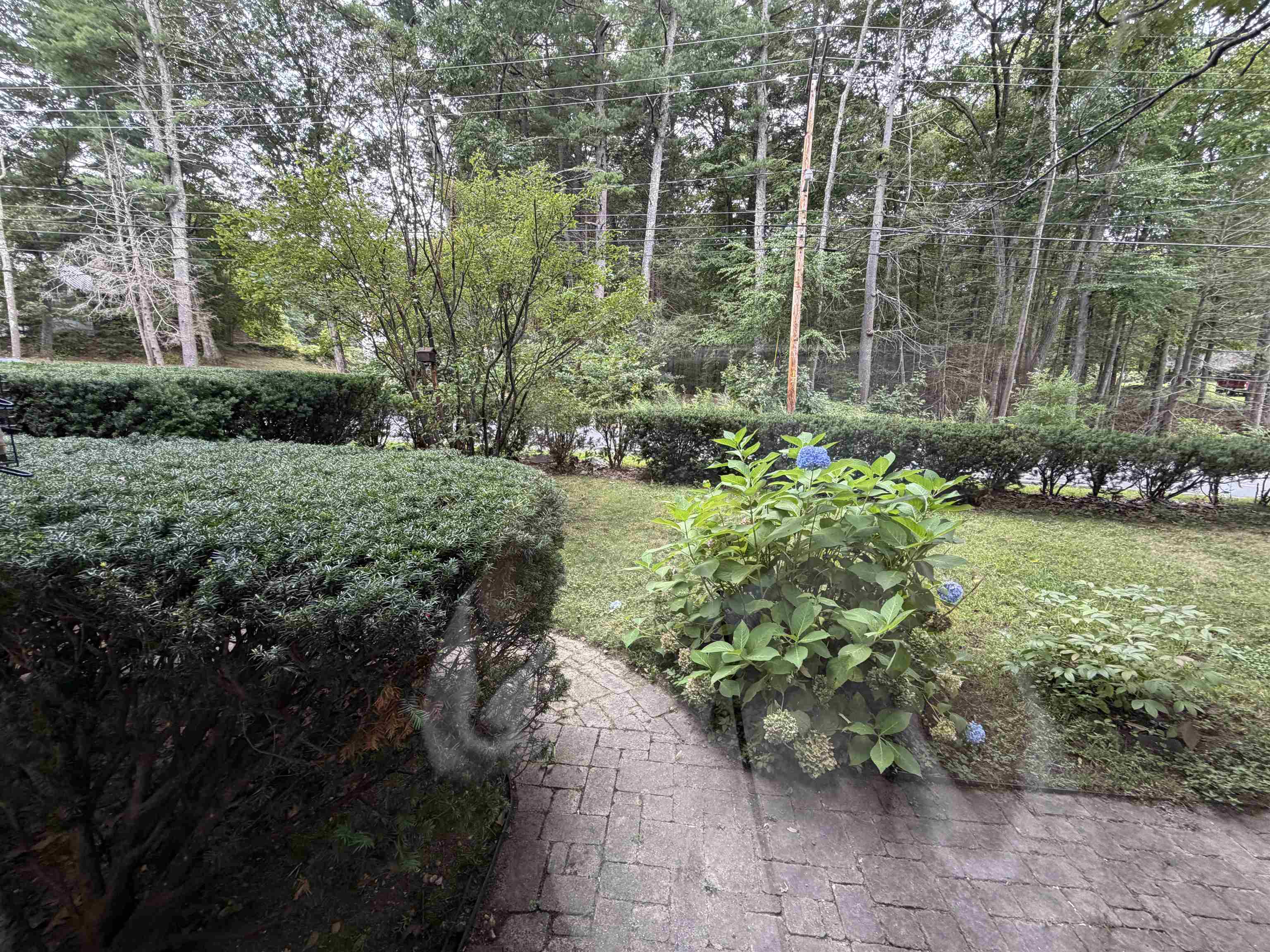 226 Amesbury Road Property Photo 33