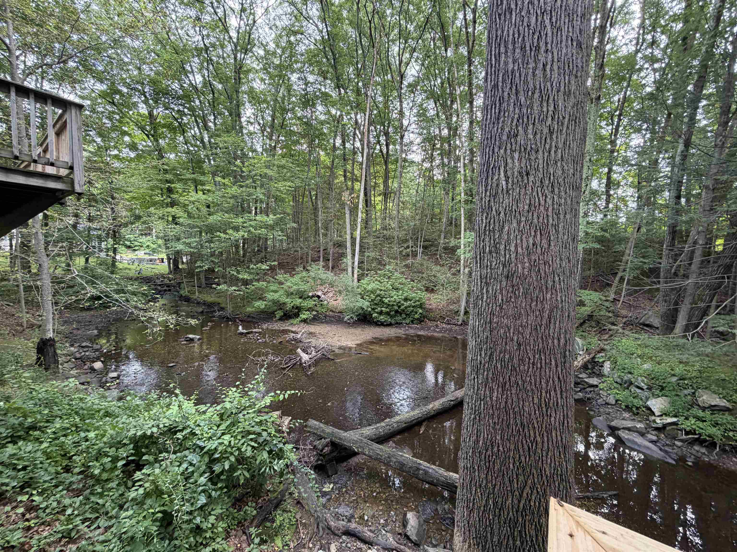 226 Amesbury Road Property Photo 48
