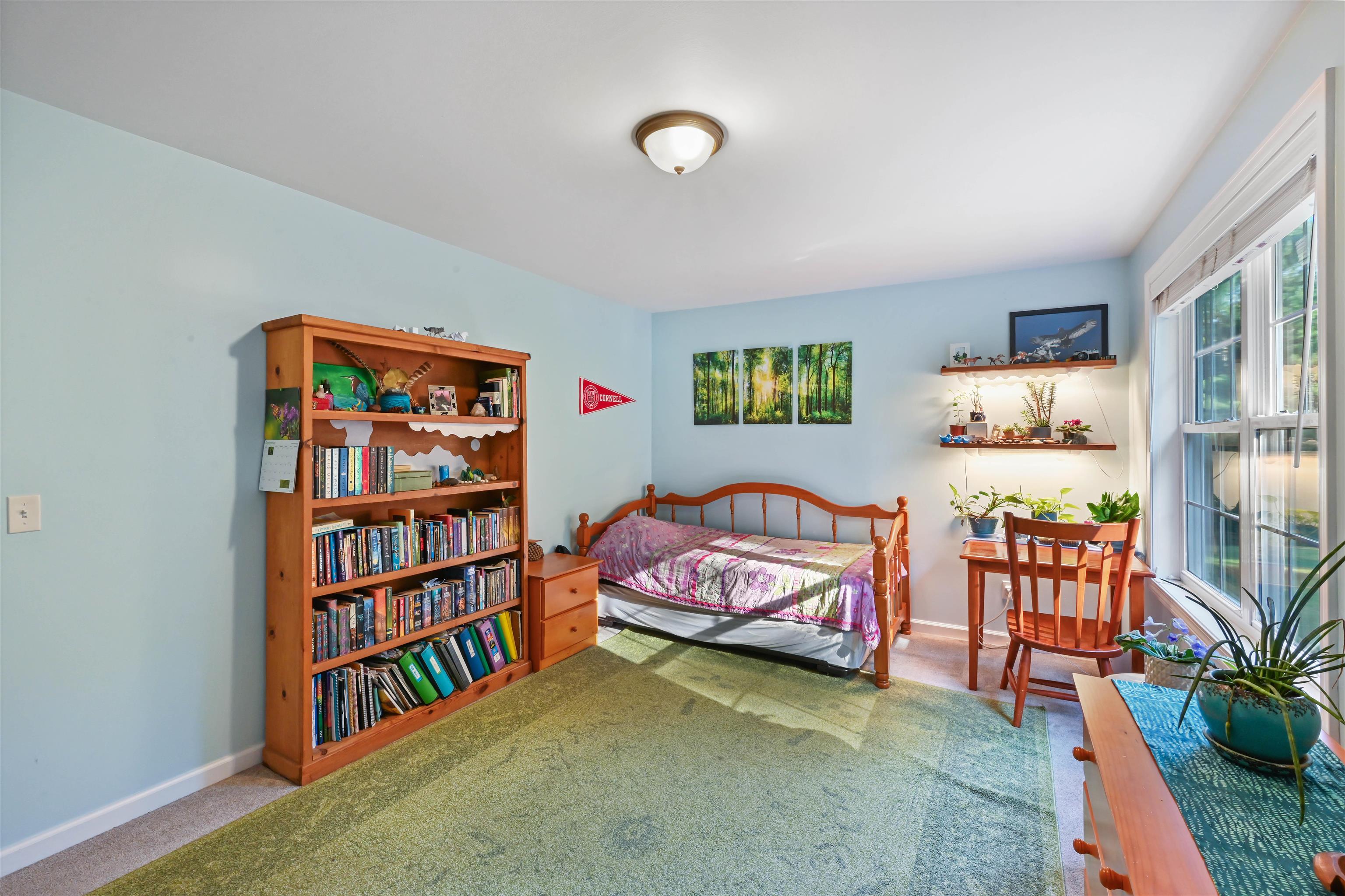 151 Colden Road Property Photo 30