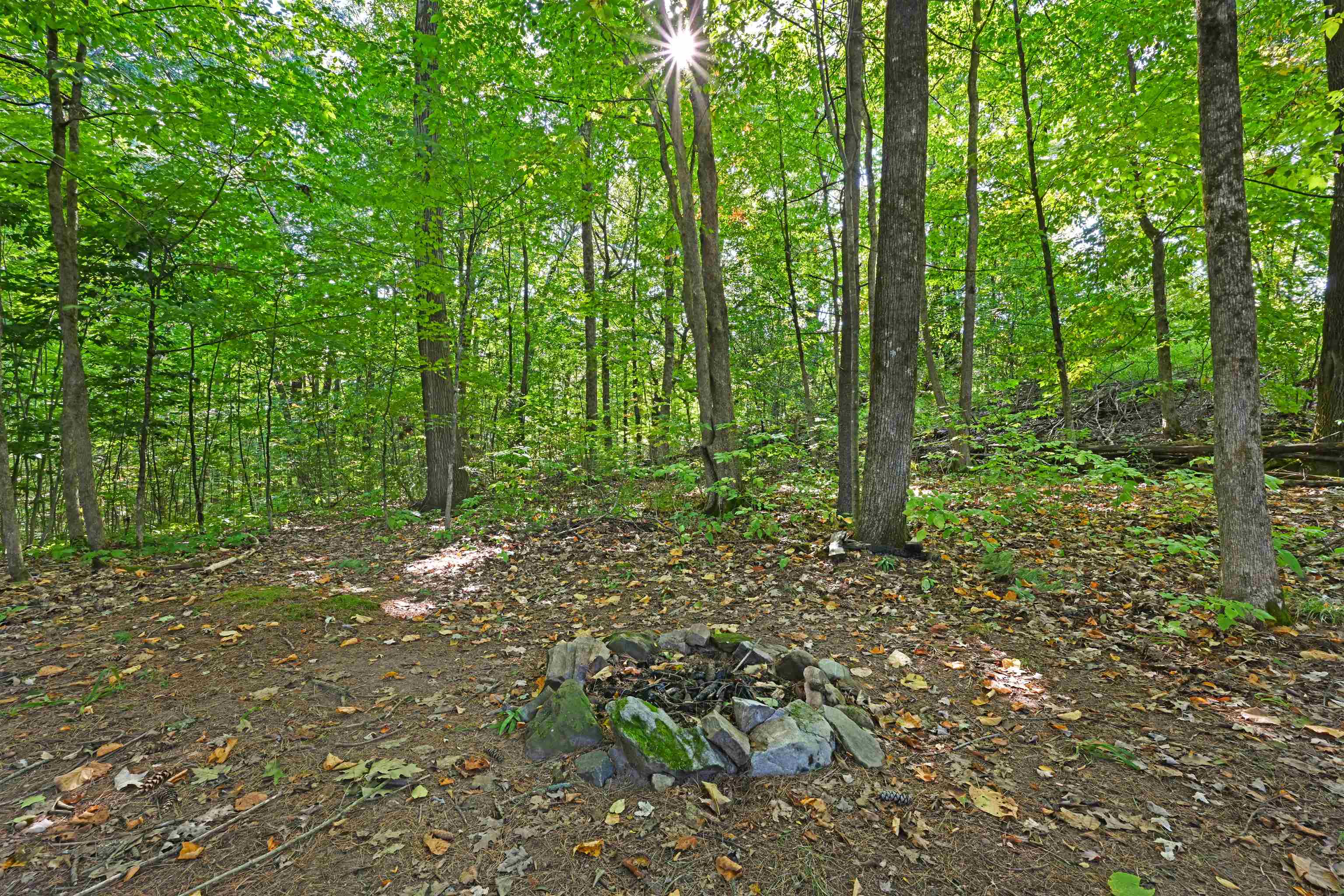 151 Colden Road Property Photo 41