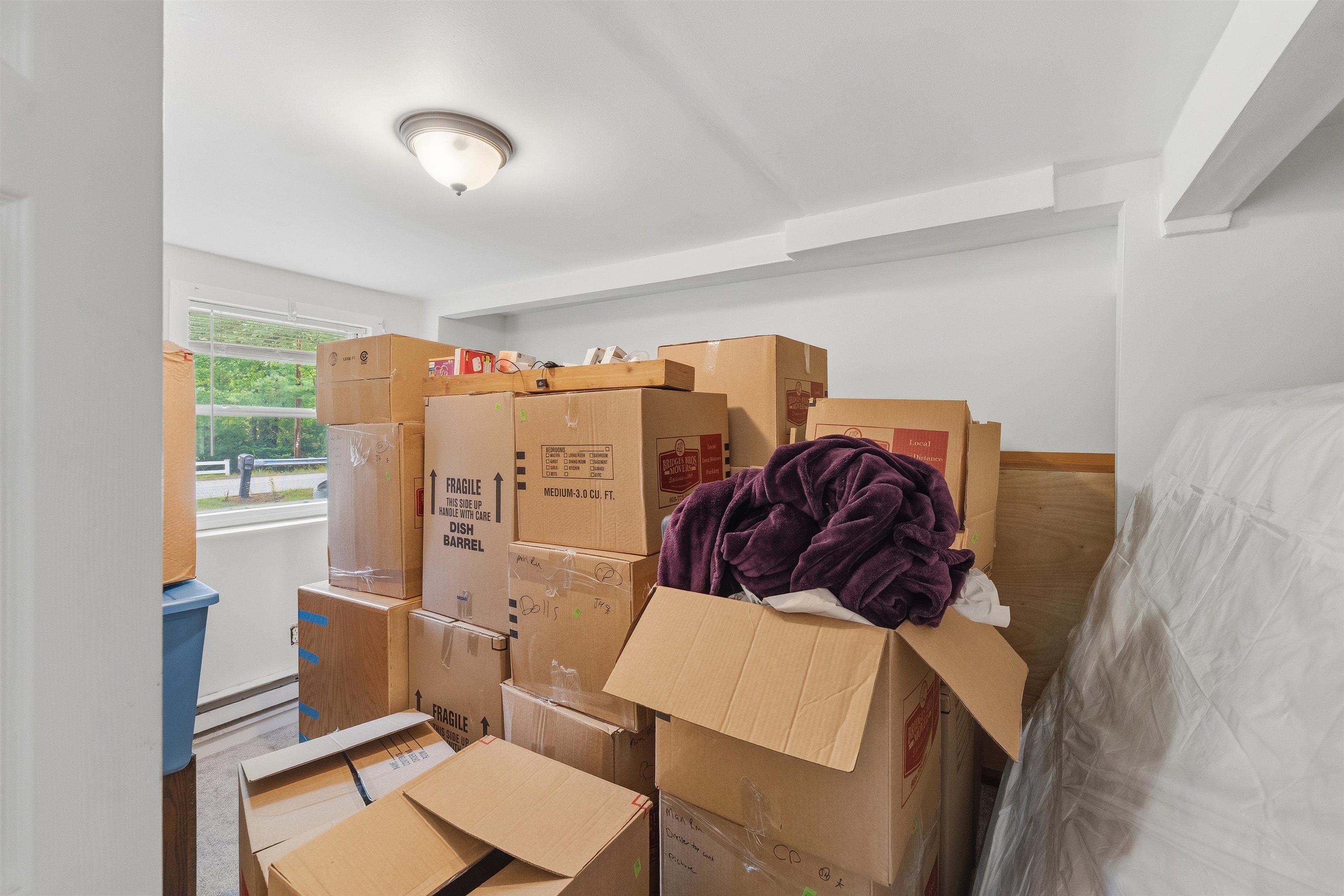 5 Mont Vernon Drive Property Photo 19