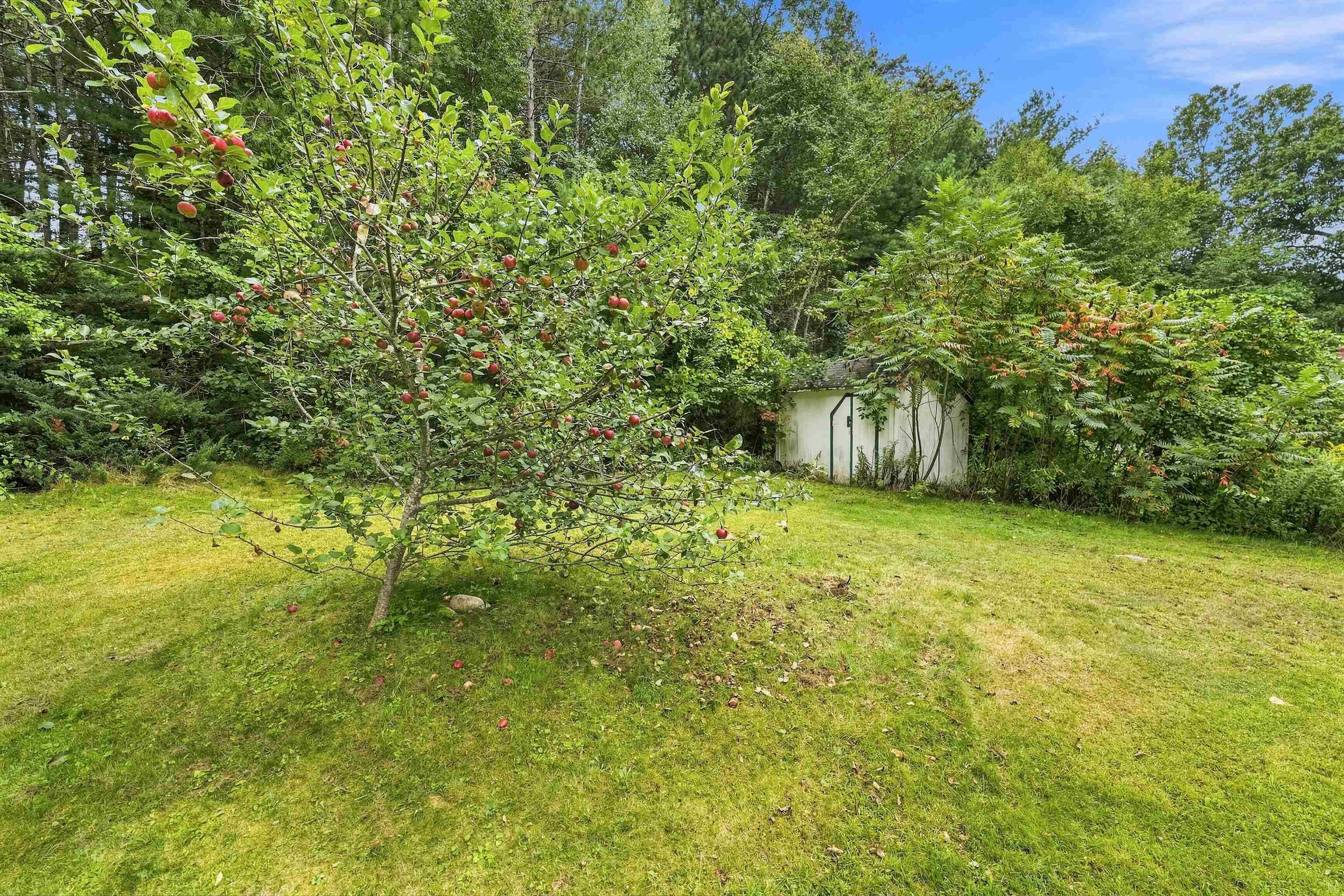 5 Mont Vernon Drive Property Photo 25