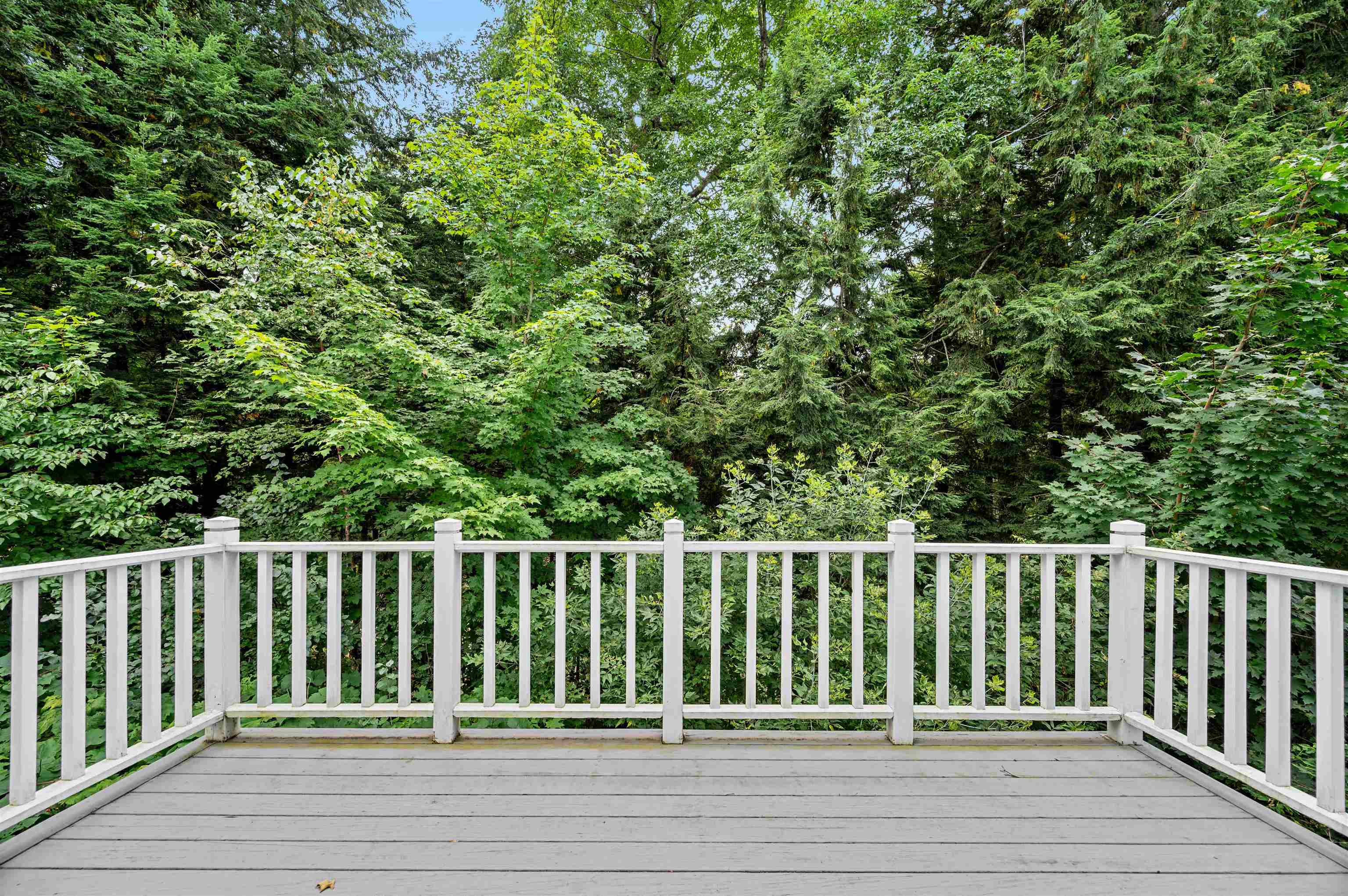 58 Wildersburg Common Property Photo 29