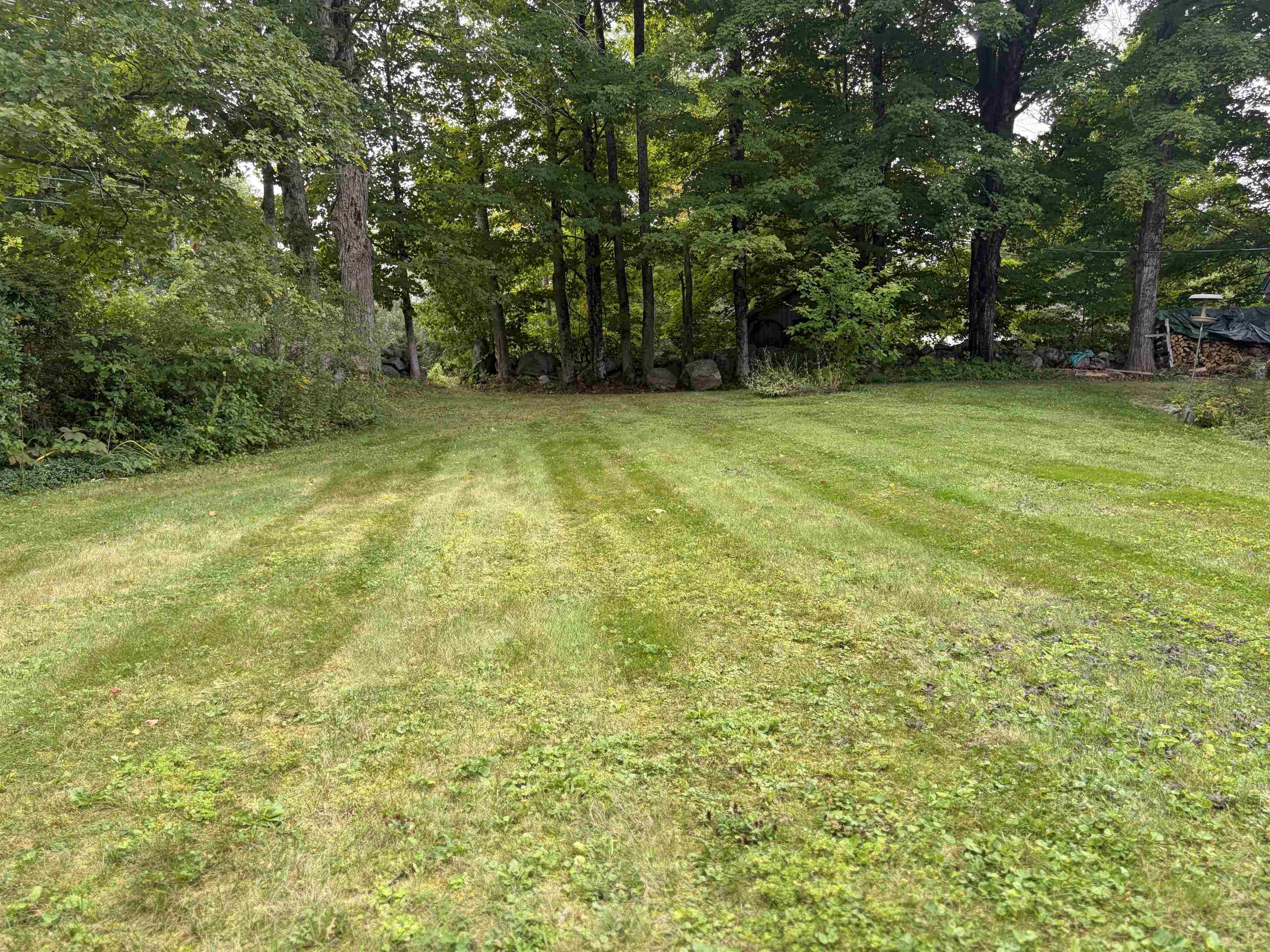 435 Roller Coaster Road Property Photo 3