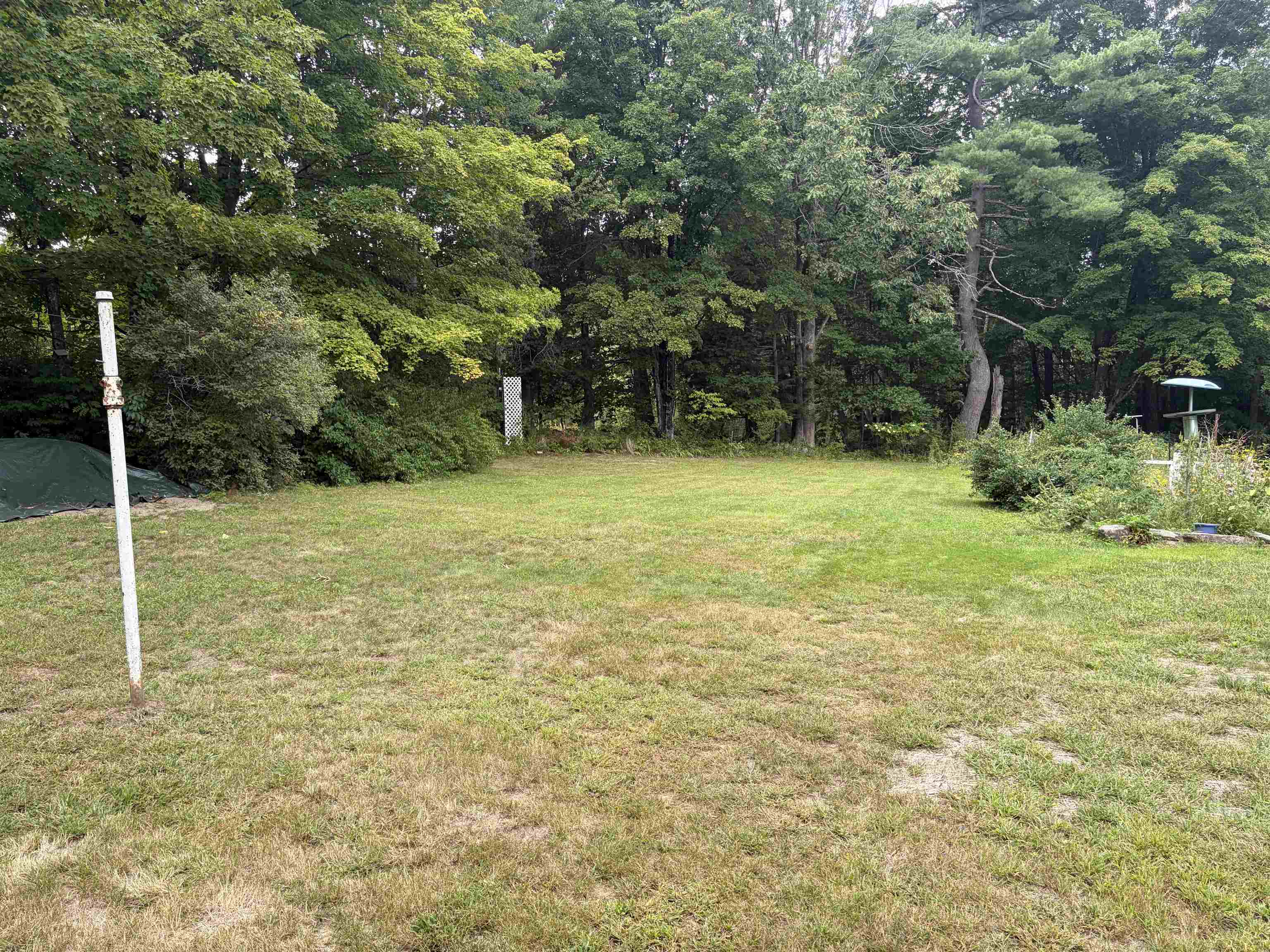 435 Roller Coaster Road Property Photo 4