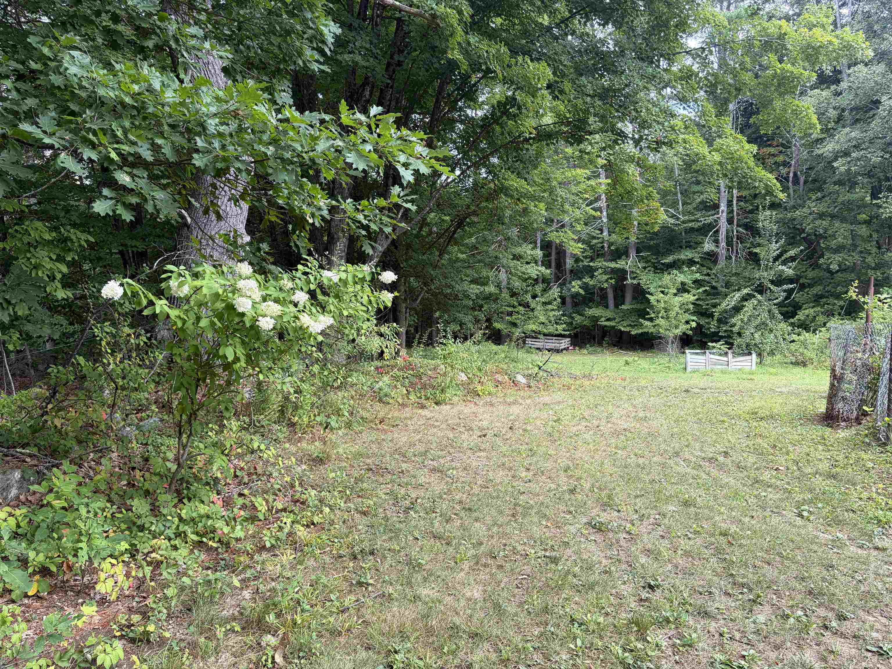 435 Roller Coaster Road Property Photo 5