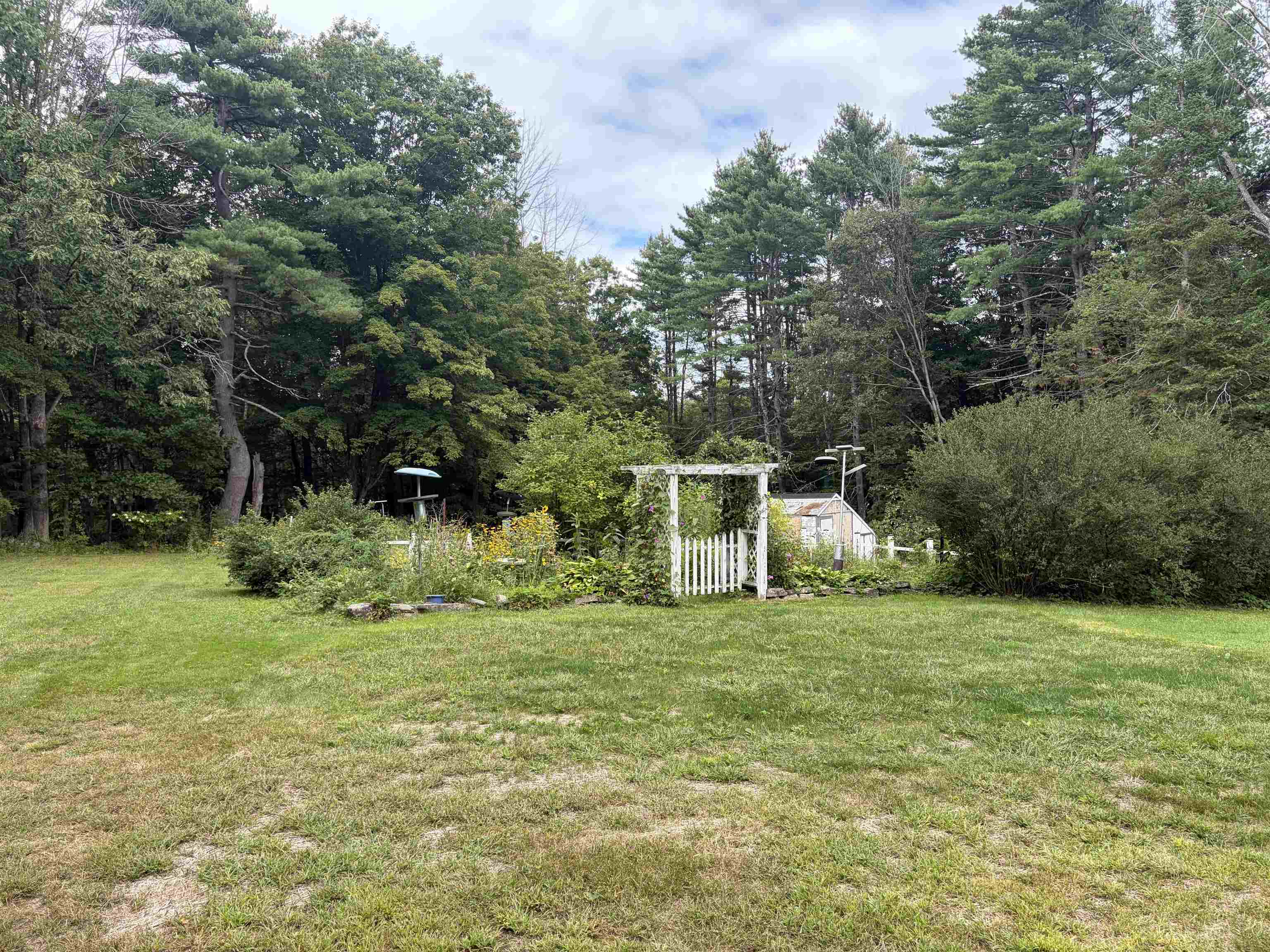 435 Roller Coaster Road Property Photo 6