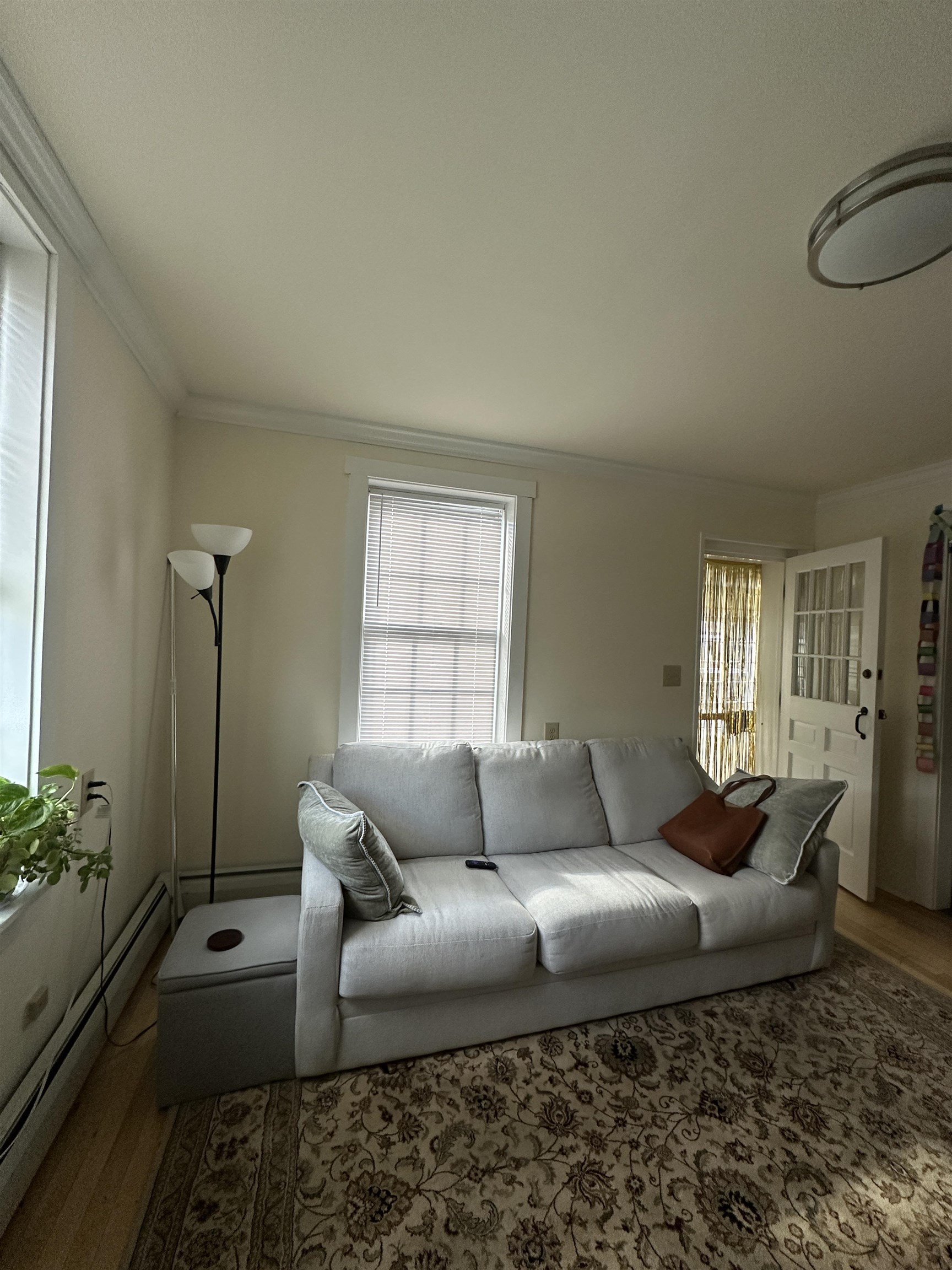 233 Pearl Street Property Photo 4