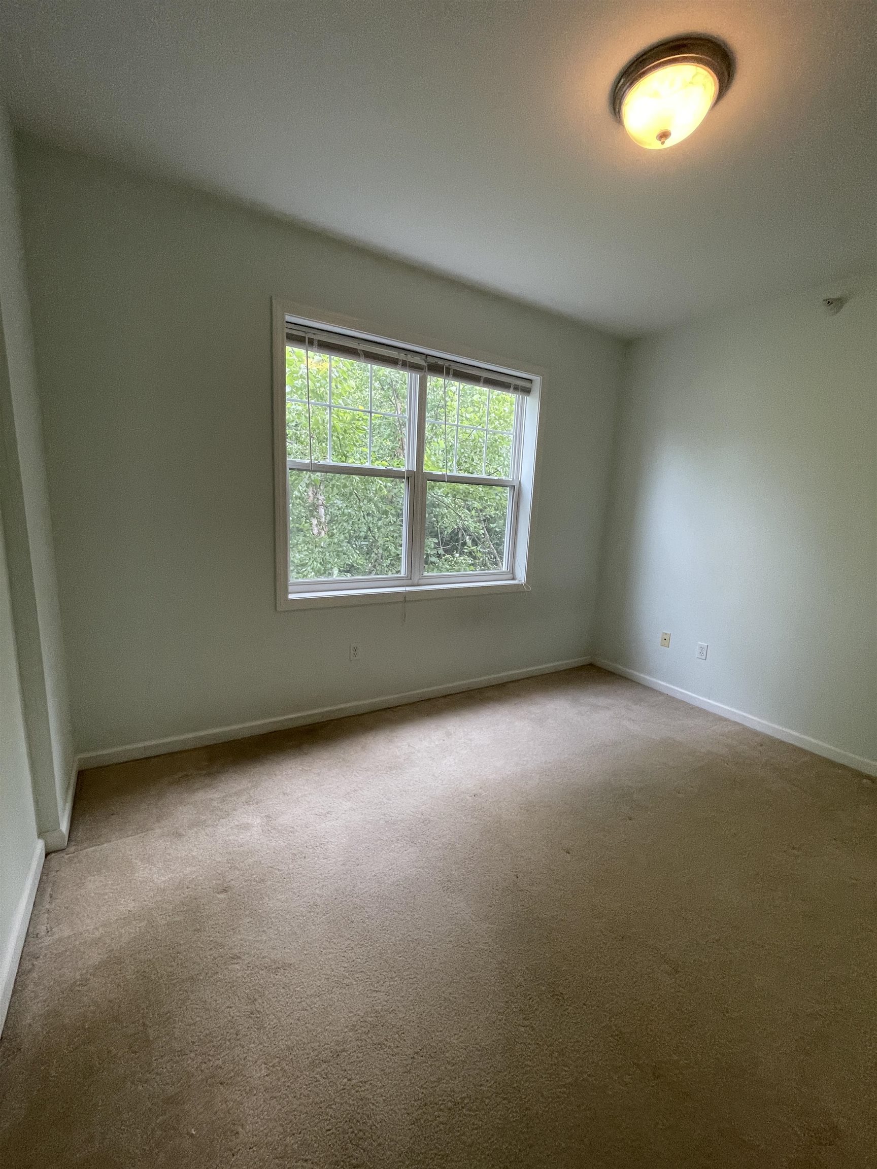 101 Eldredge Street Property Photo 11